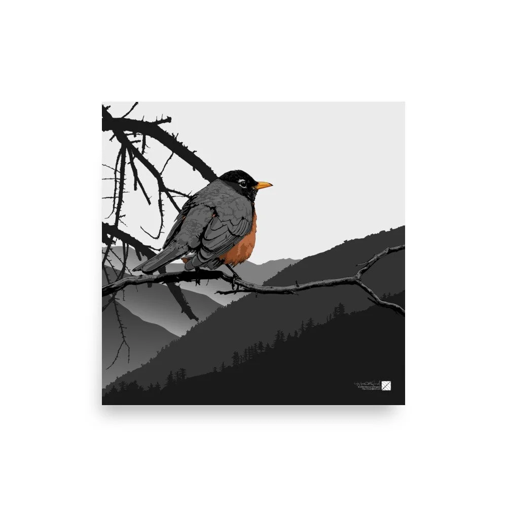 enhanced-matte-paper-poster-(in)-12x12-front-6a99a34b7ac89.jpg