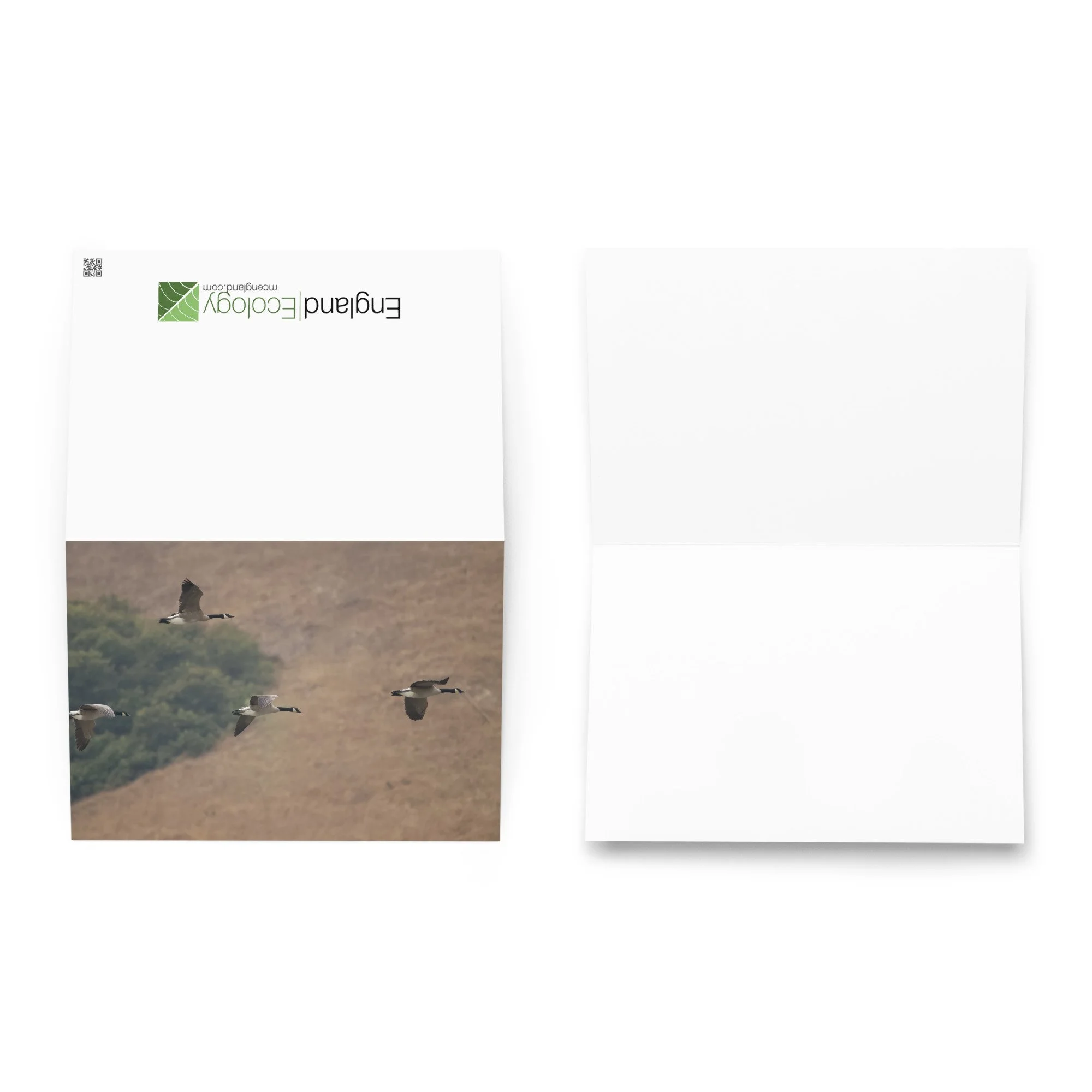 greeting-card-5.83x8.27-front-6a9ae4e8cc3e9.jpg