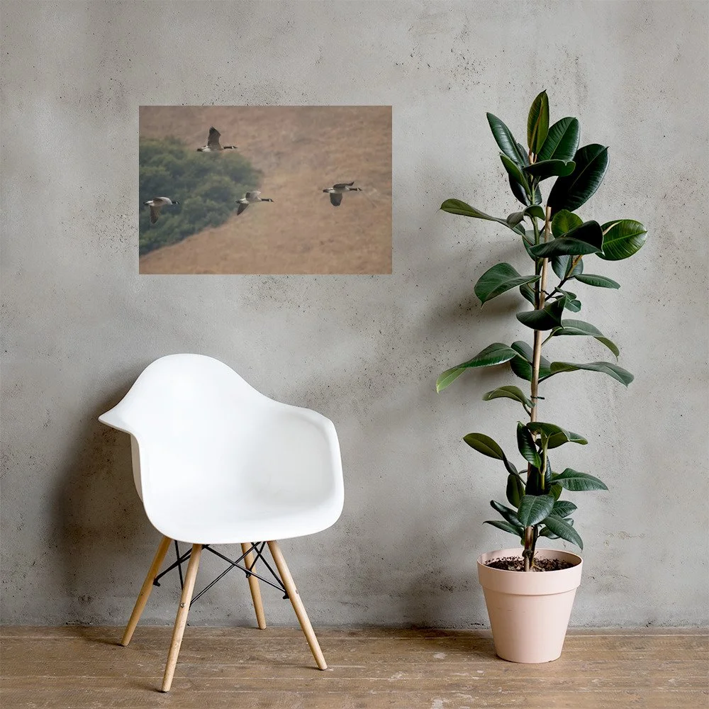 enhanced-matte-paper-poster-(in)-20x30-lifestyle-1-6a9ae54eddd76.jpg