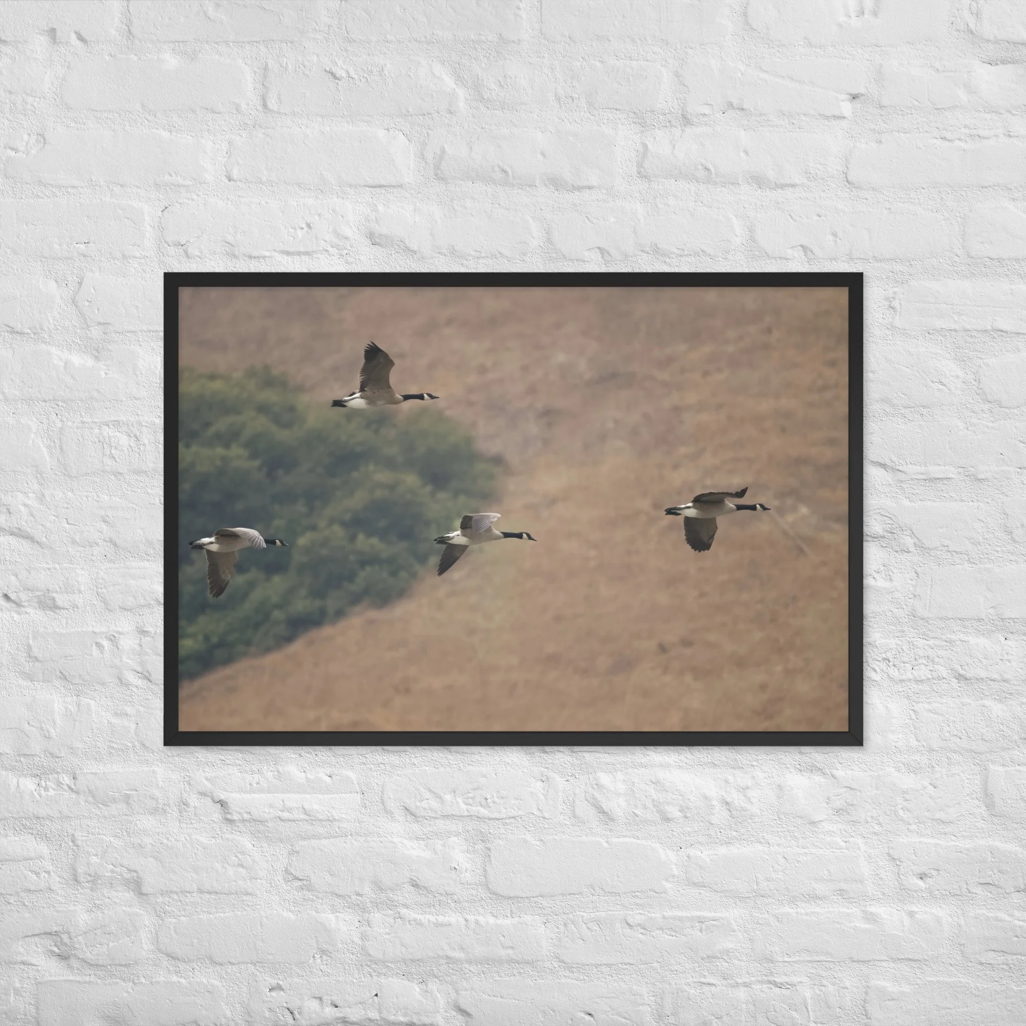 enhanced-matte-paper-framed-poster-(in)-black-24x36-front-6a9ae5c05021c.jpg
