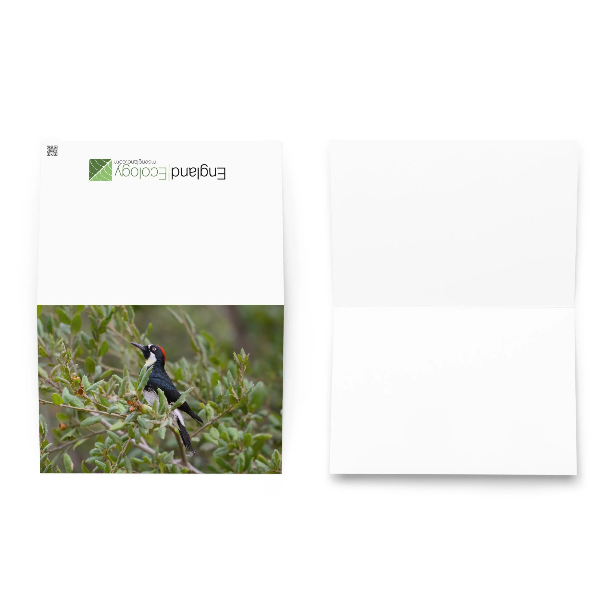 greeting-card-5.83x8.27-front-6aa15be5dba19.jpg