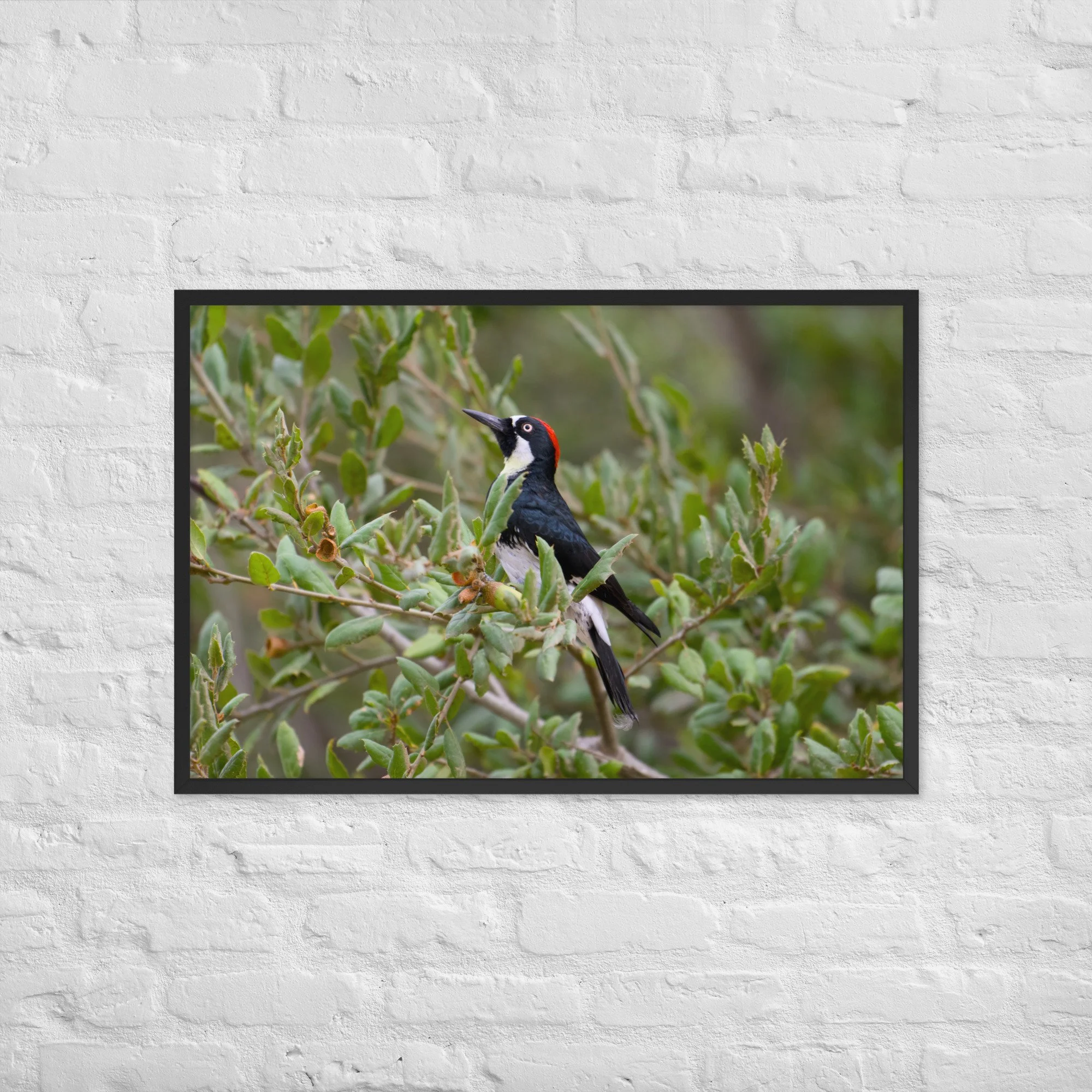 enhanced-matte-paper-framed-poster-(in)-black-24x36-front-6aa15d0a72d77.jpg
