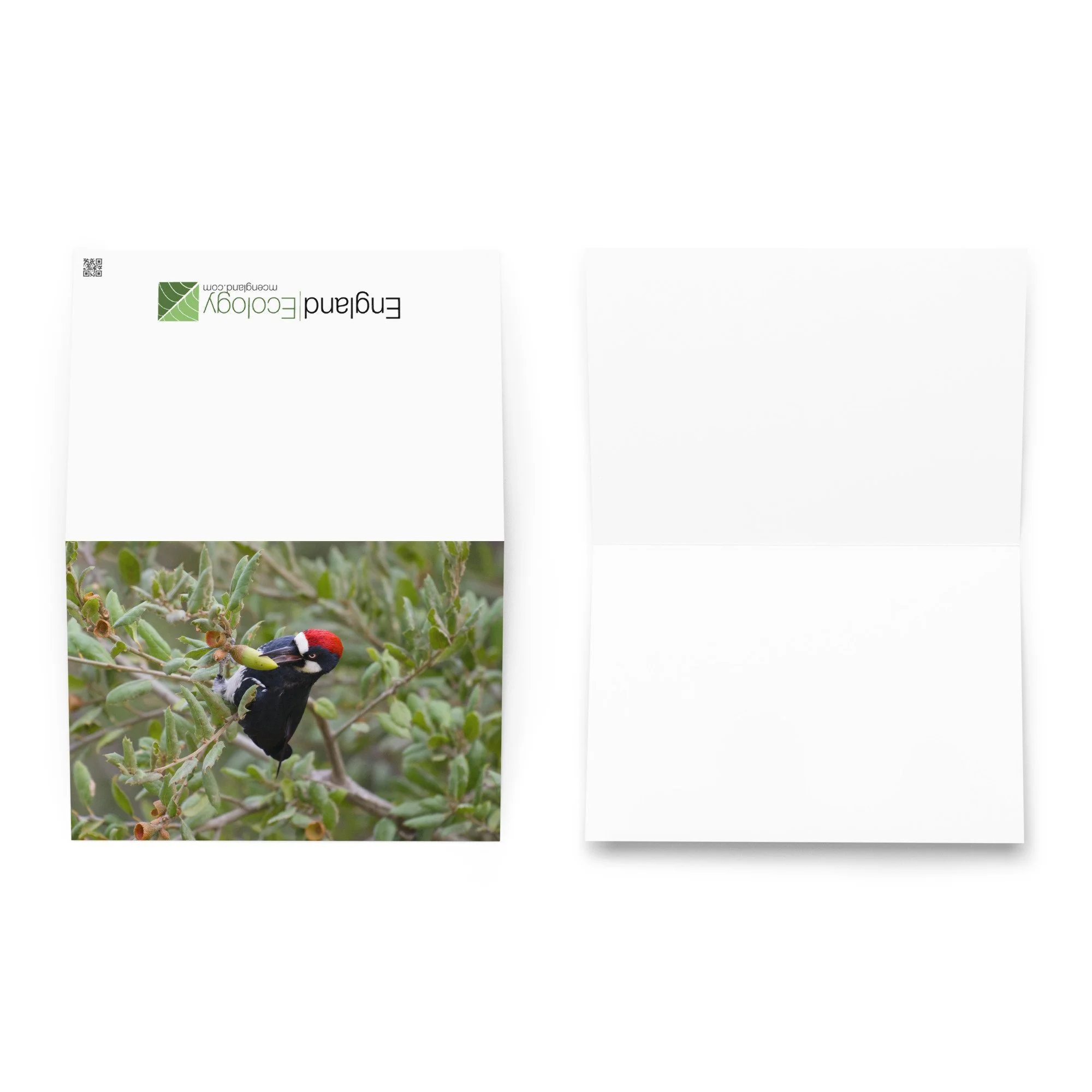 greeting-card-5.83x8.27-front-6aa844836415d.jpg