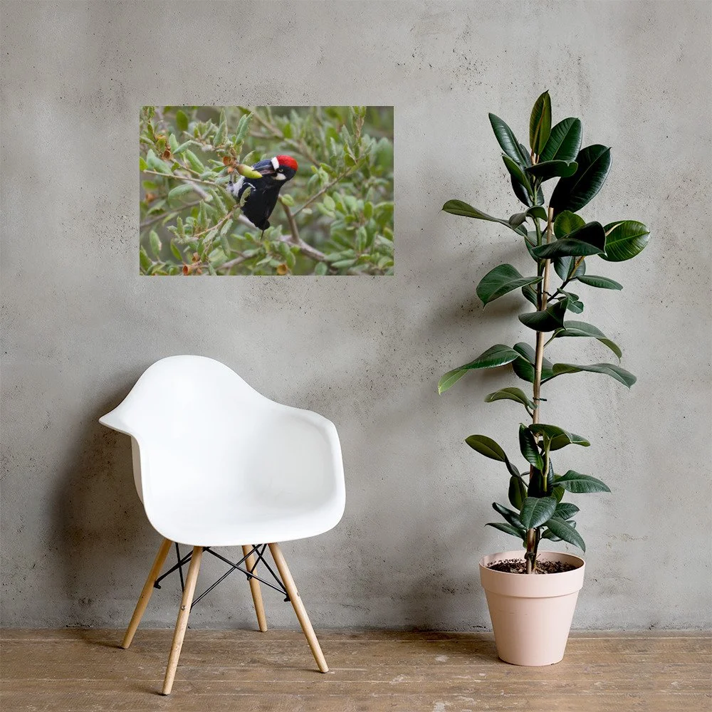 enhanced-matte-paper-poster-(in)-20x30-lifestyle-1-6aa844ed43336.jpg