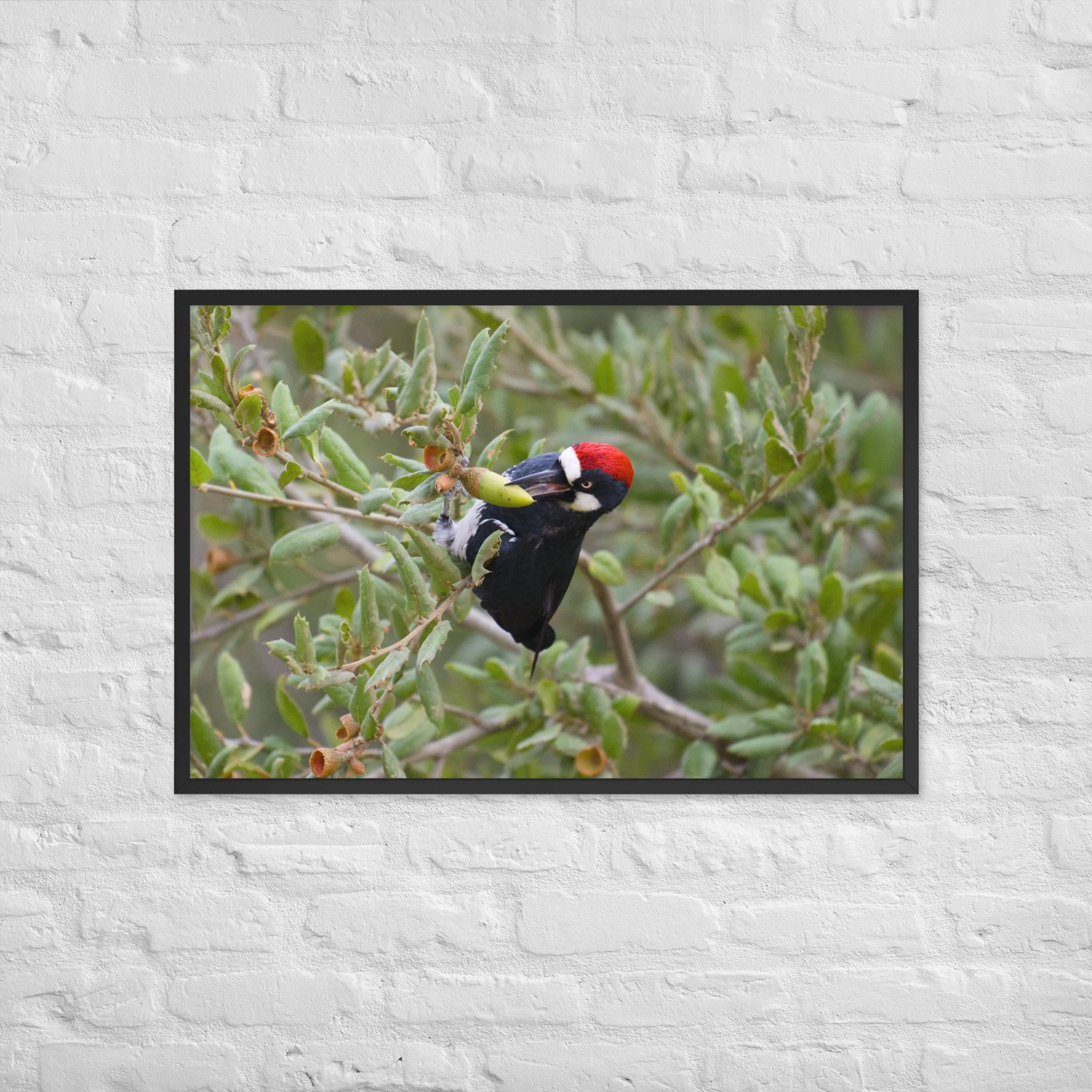 enhanced-matte-paper-framed-poster-(in)-black-24x36-front-6aa84564cc294.jpg
