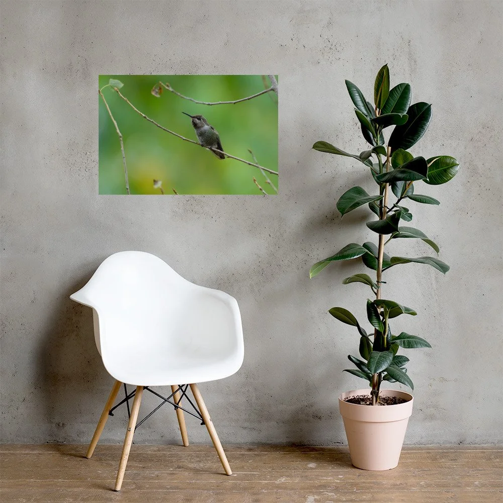 enhanced-matte-paper-poster-(in)-20x30-lifestyle-1-6aaacc601fefd.jpg