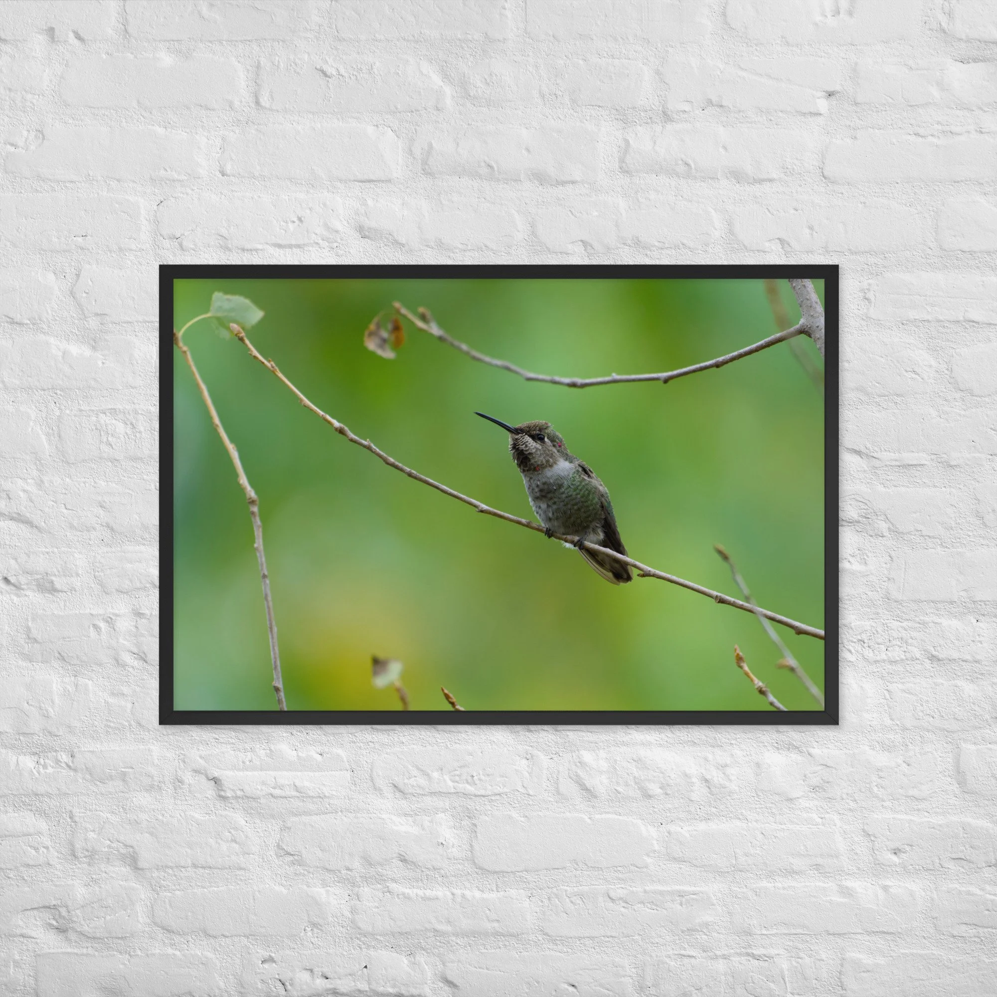 enhanced-matte-paper-framed-poster-(in)-black-24x36-front-6aaaccd20fd26.jpg