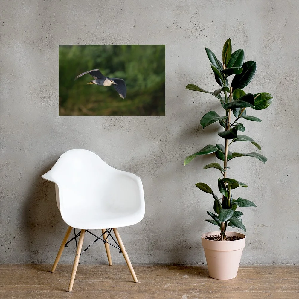 enhanced-matte-paper-poster-(in)-20x30-lifestyle-1-6ab52171f06ee.jpg