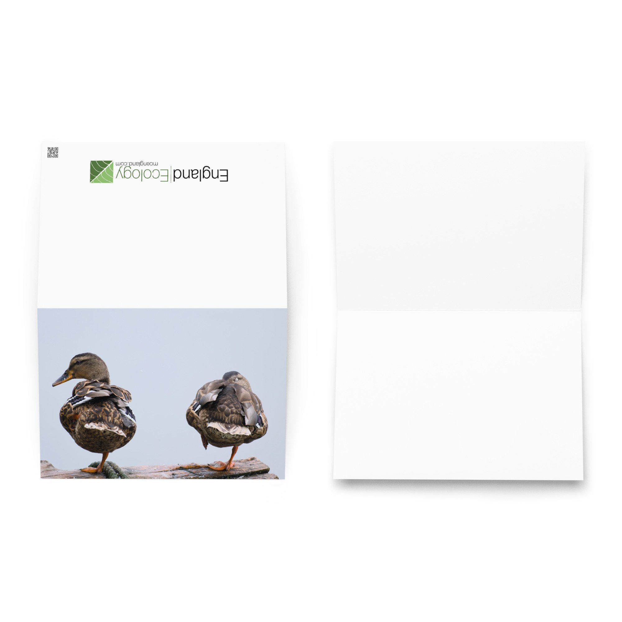 greeting-card-5.83x8.27-front-6ab685d17e539.jpg