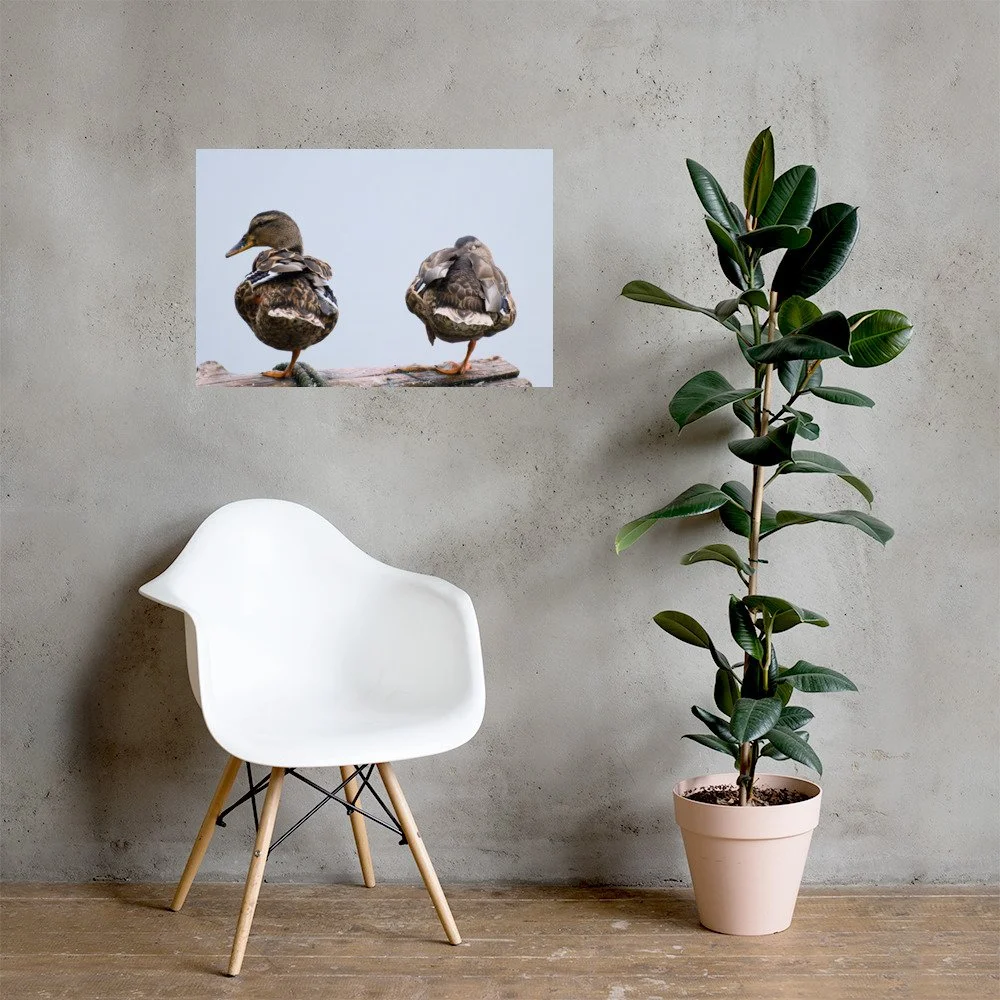enhanced-matte-paper-poster-(in)-20x30-lifestyle-1-6ab68a5be7ab5.jpg