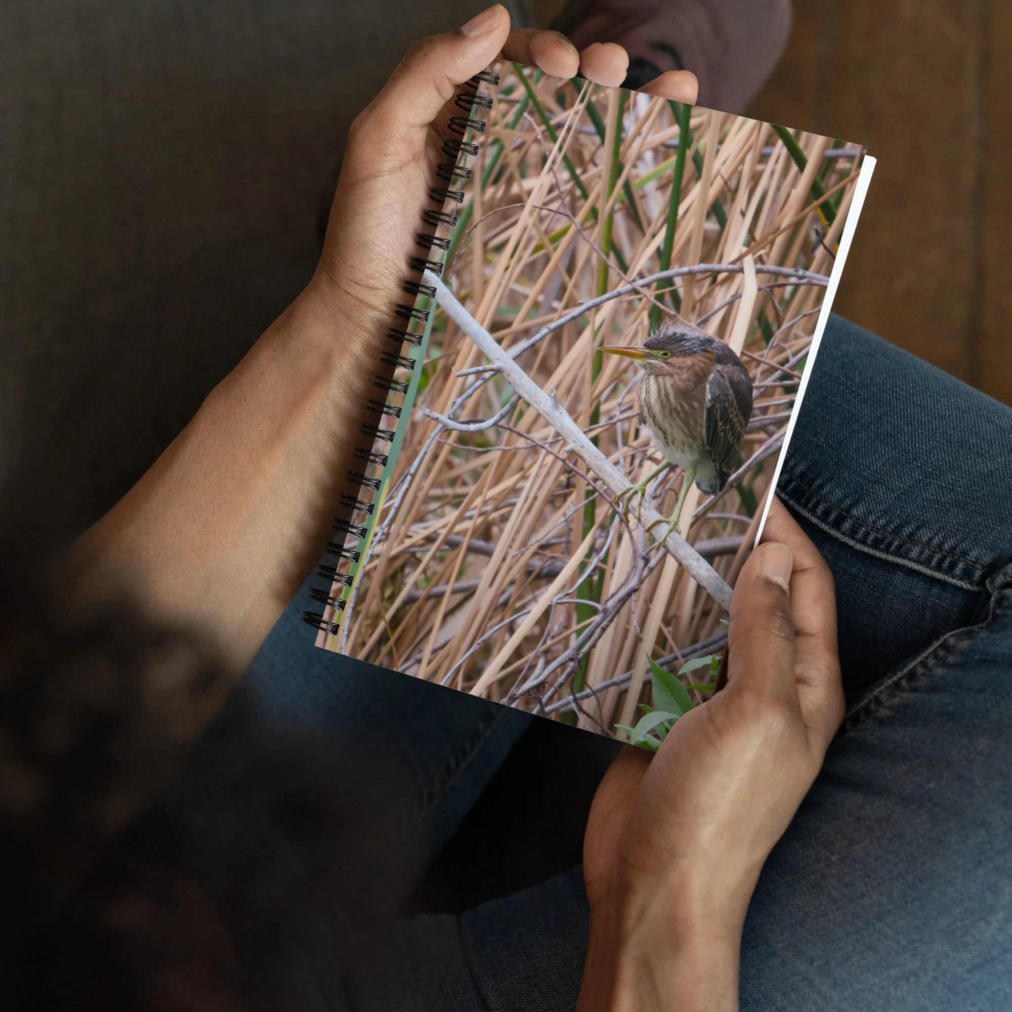 spiral-notebook-dotted-front-6ab9882c74c82.jpg