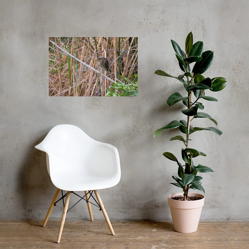 enhanced-matte-paper-poster-(in)-20x30-lifestyle-1-6ab988fde3945.jpg