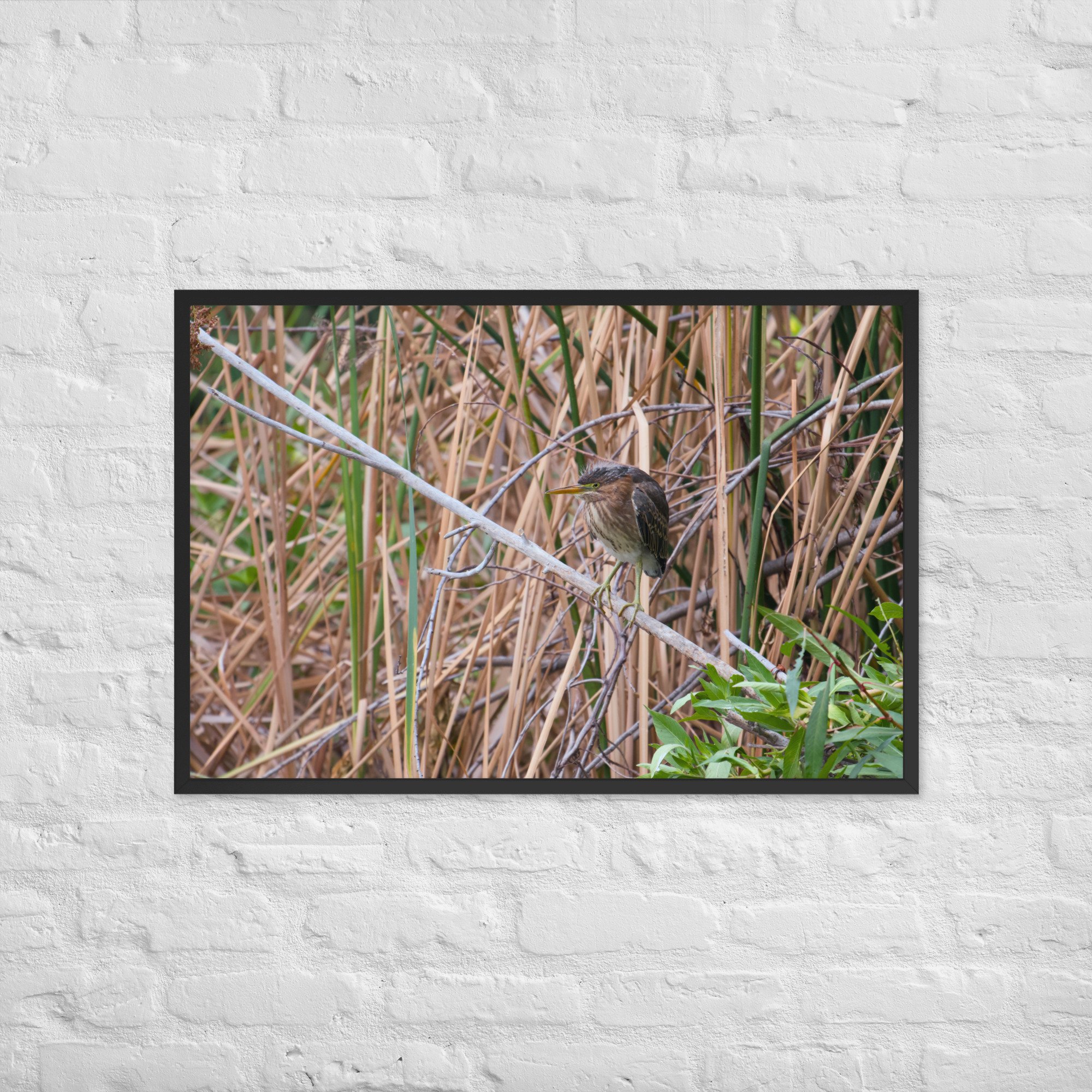 enhanced-matte-paper-framed-poster-(in)-black-24x36-front-6ab9898de5a43.jpg