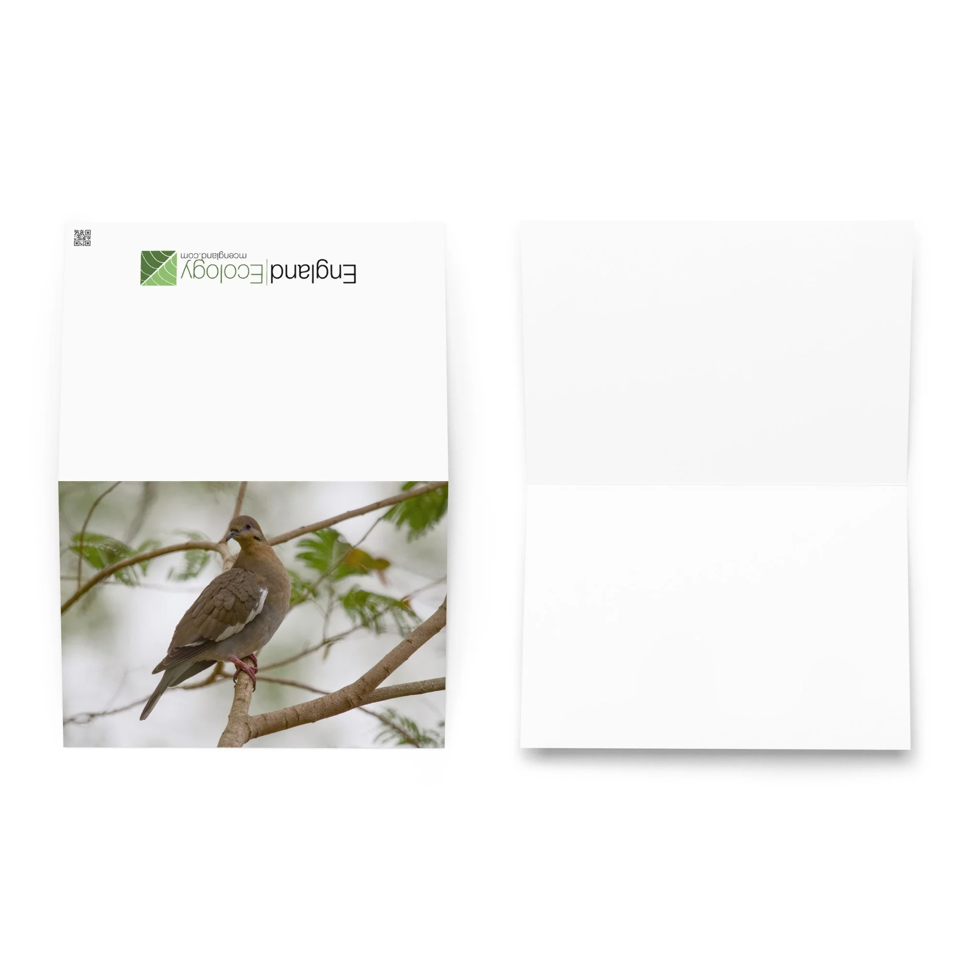 greeting-card-5.83x8.27-front-6abfac5f81fdf.jpg