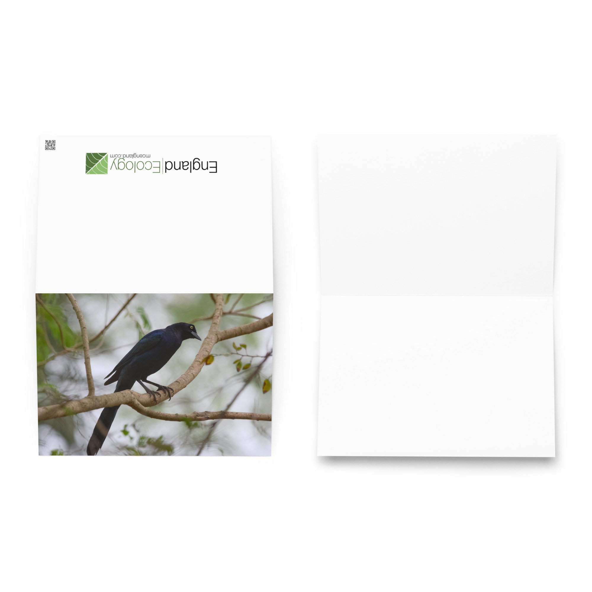greeting-card-5.83x8.27-front-6ac39a1437446.jpg