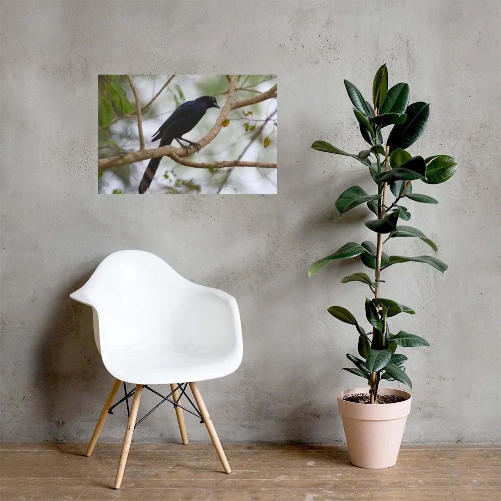 enhanced-matte-paper-poster-(in)-20x30-lifestyle-1-6ac39a67b2a20.jpg