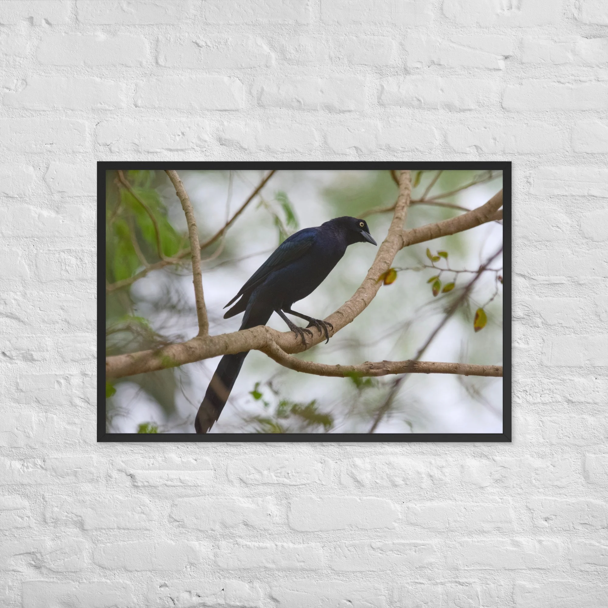 enhanced-matte-paper-framed-poster-(in)-black-24x36-front-6ac39ad91abd3.jpg