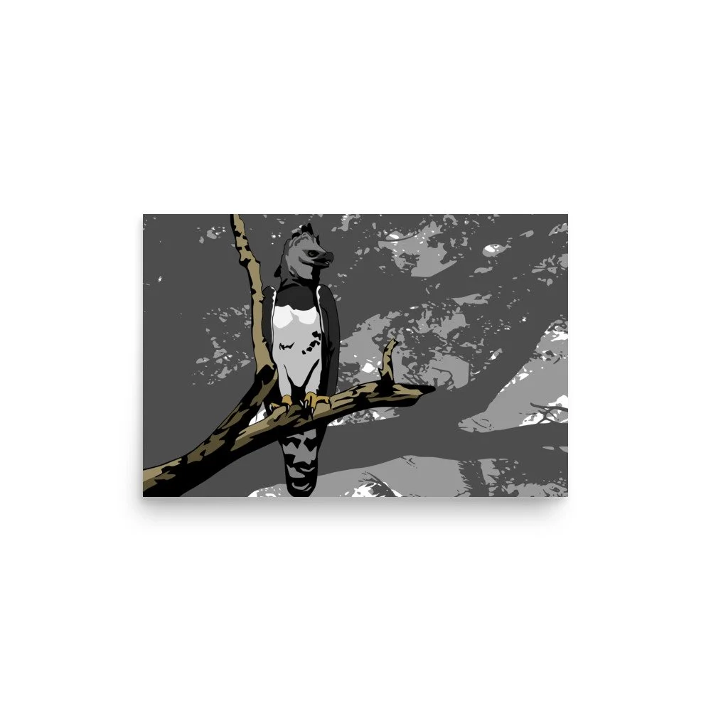 enhanced-matte-paper-poster-(in)-12x18-front-6ac5664123d40.jpg