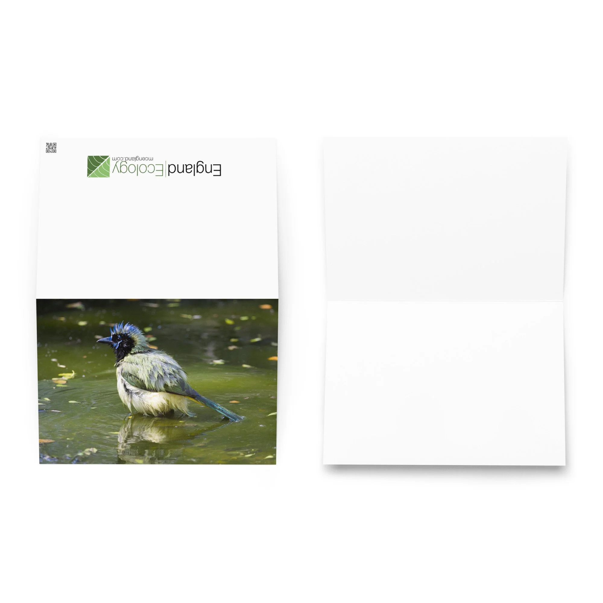 greeting-card-5.83x8.27-front-6accdef853f2e.jpg