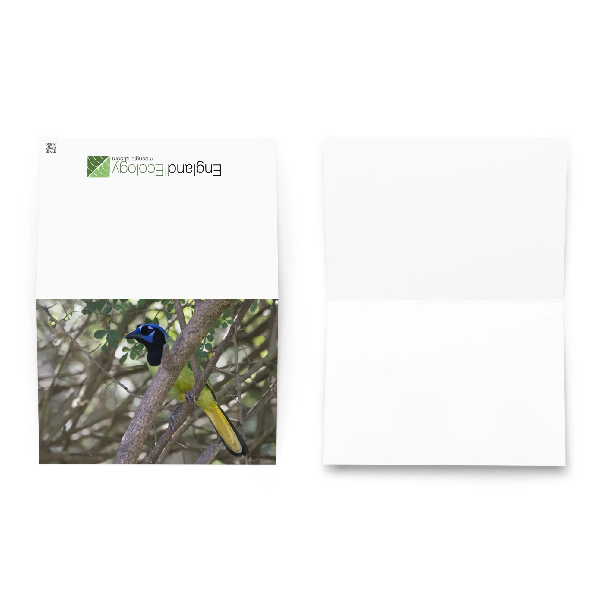 greeting-card-5.83x8.27-front-6ad21e6445ae0.jpg