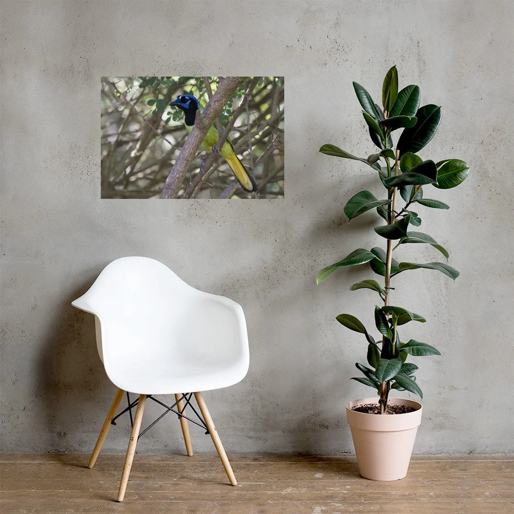 enhanced-matte-paper-poster-(in)-20x30-lifestyle-1-6ad21ee465da4.jpg