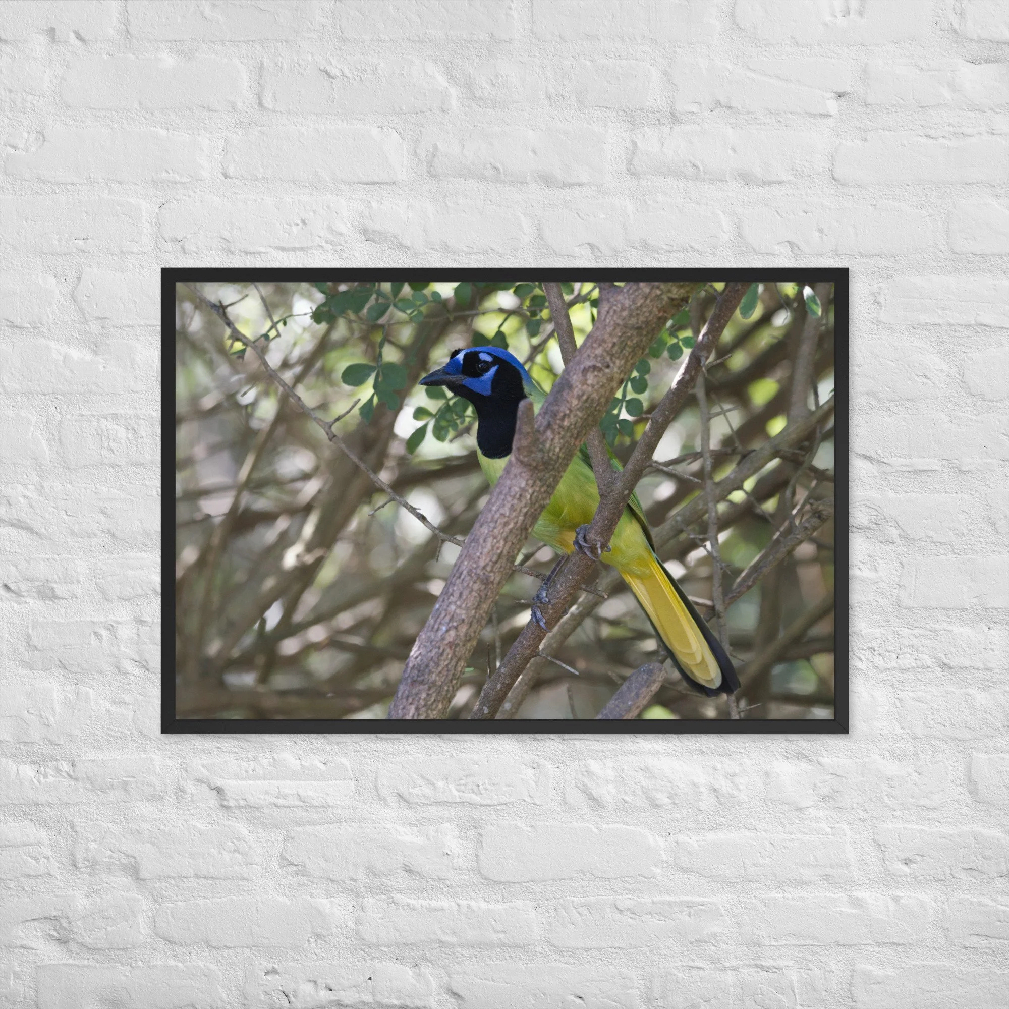enhanced-matte-paper-framed-poster-(in)-black-24x36-front-6ad21f5a5ef08.jpg