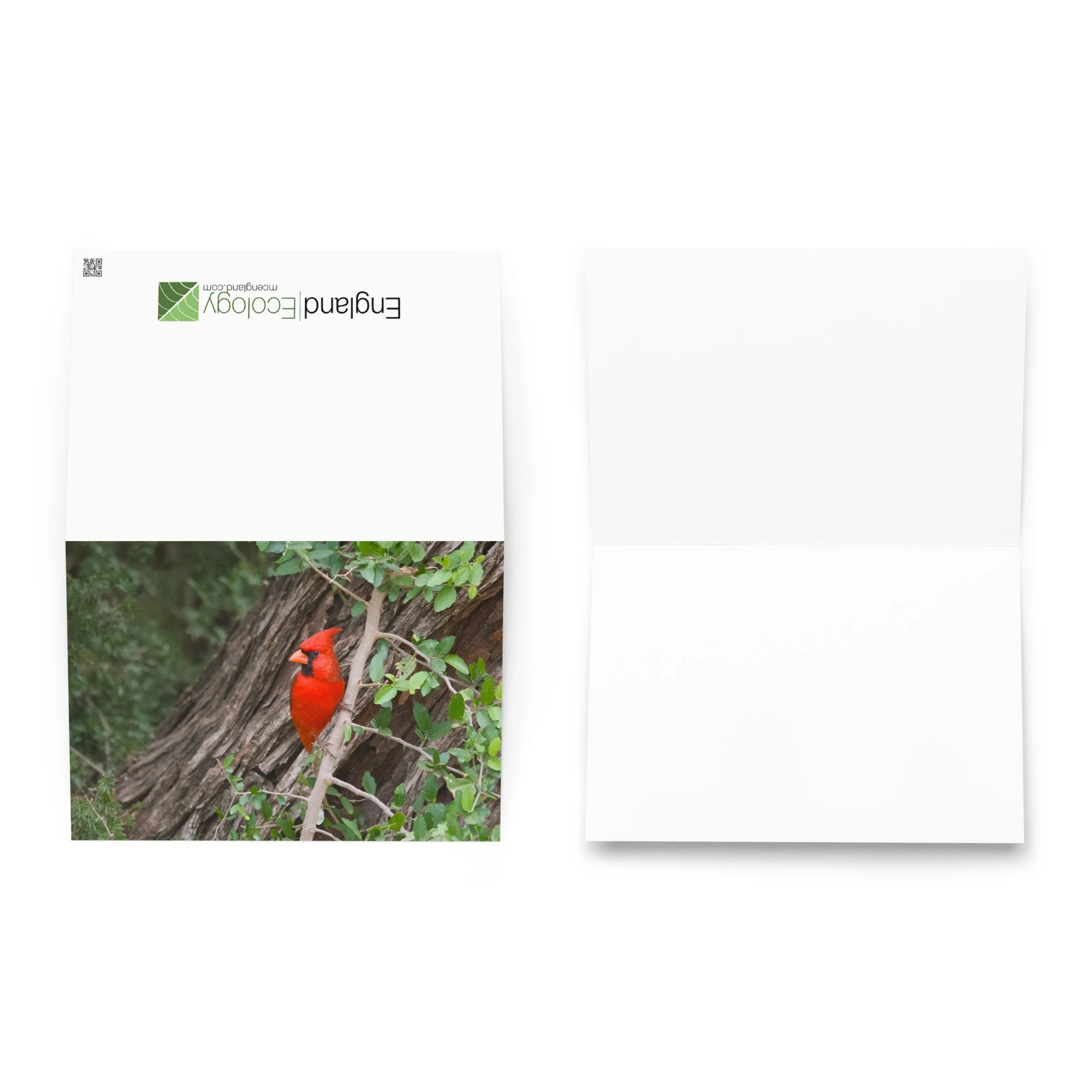 greeting-card-5.83x8.27-front-6ad619c0b1197.jpg