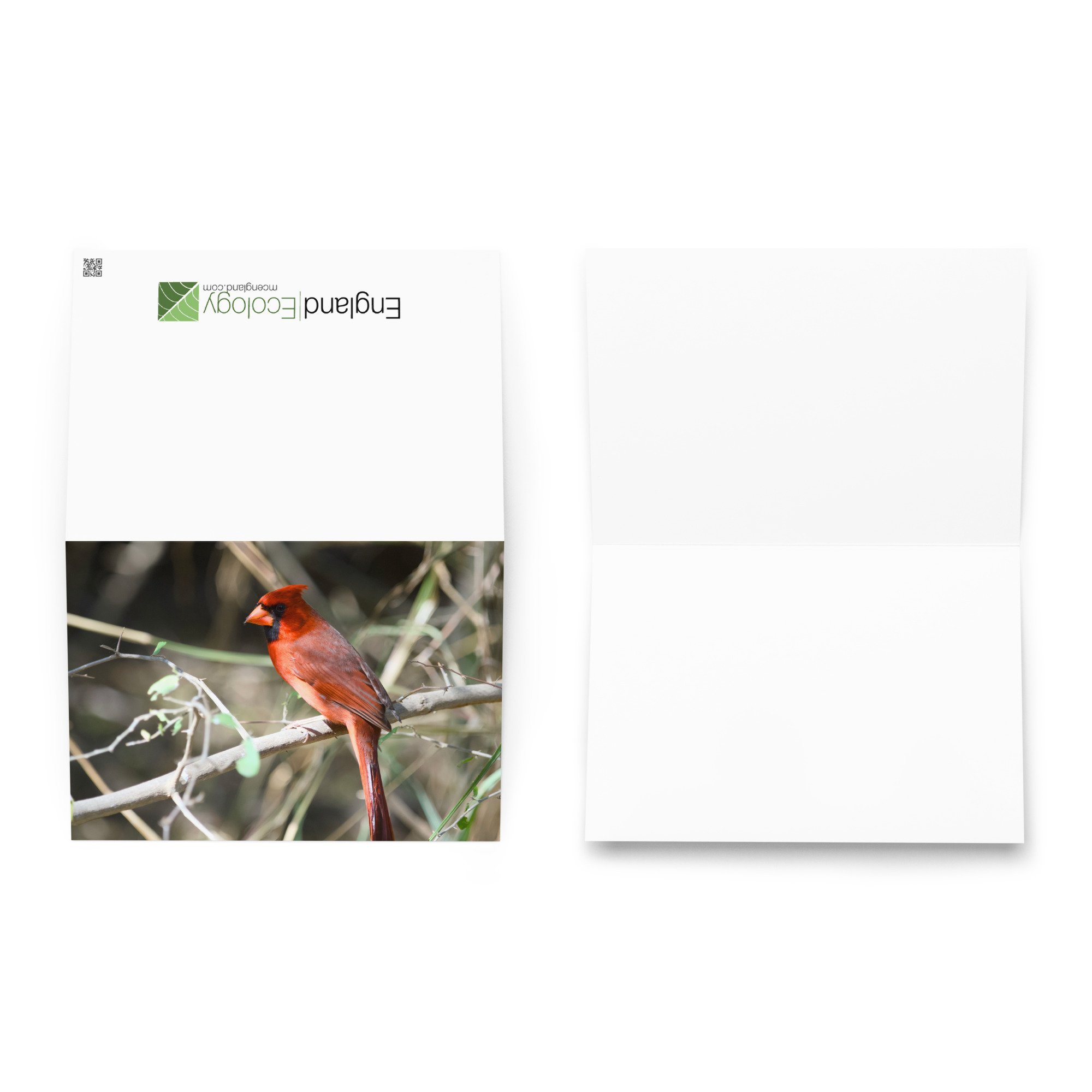 greeting-card-5.83x8.27-front-6ad8d4a594dfc.jpg