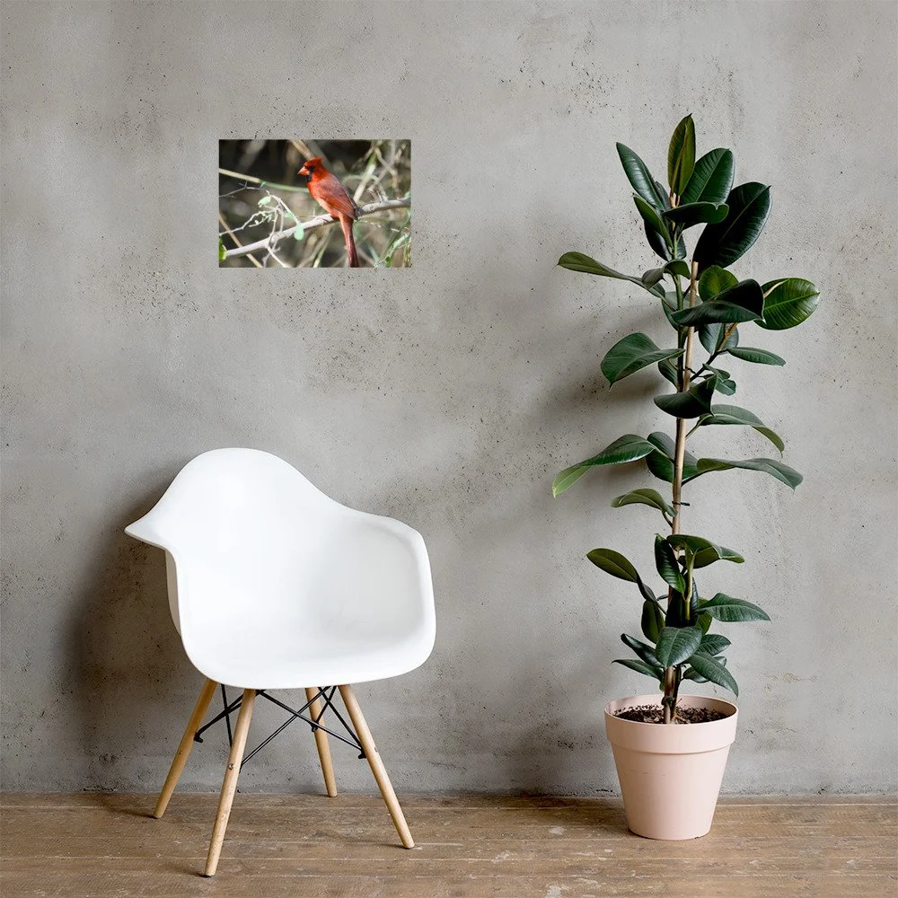 enhanced-matte-paper-poster-(in)-12x18-lifestyle-1-6ad8d5103b308.jpg