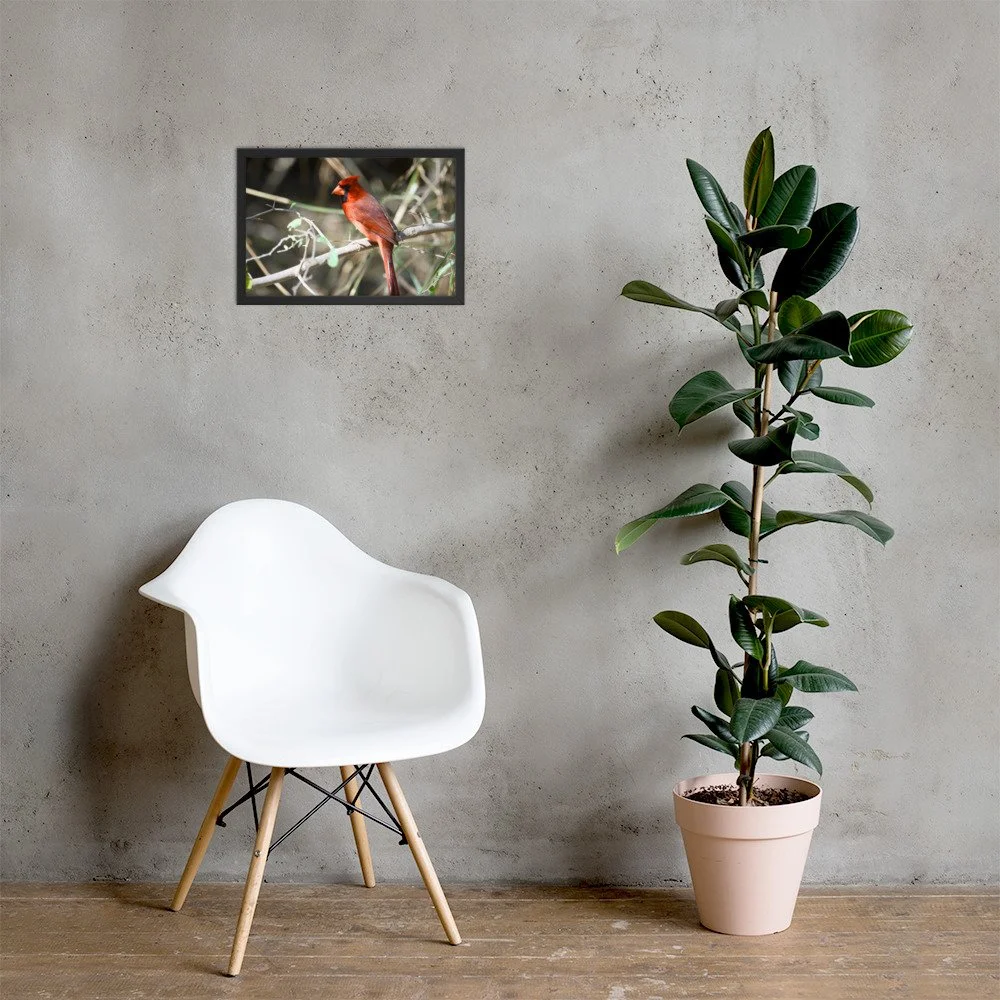enhanced-matte-paper-framed-poster-(in)-black-12x18-lifestyle-1-6ad8d5c0781b4.jpg