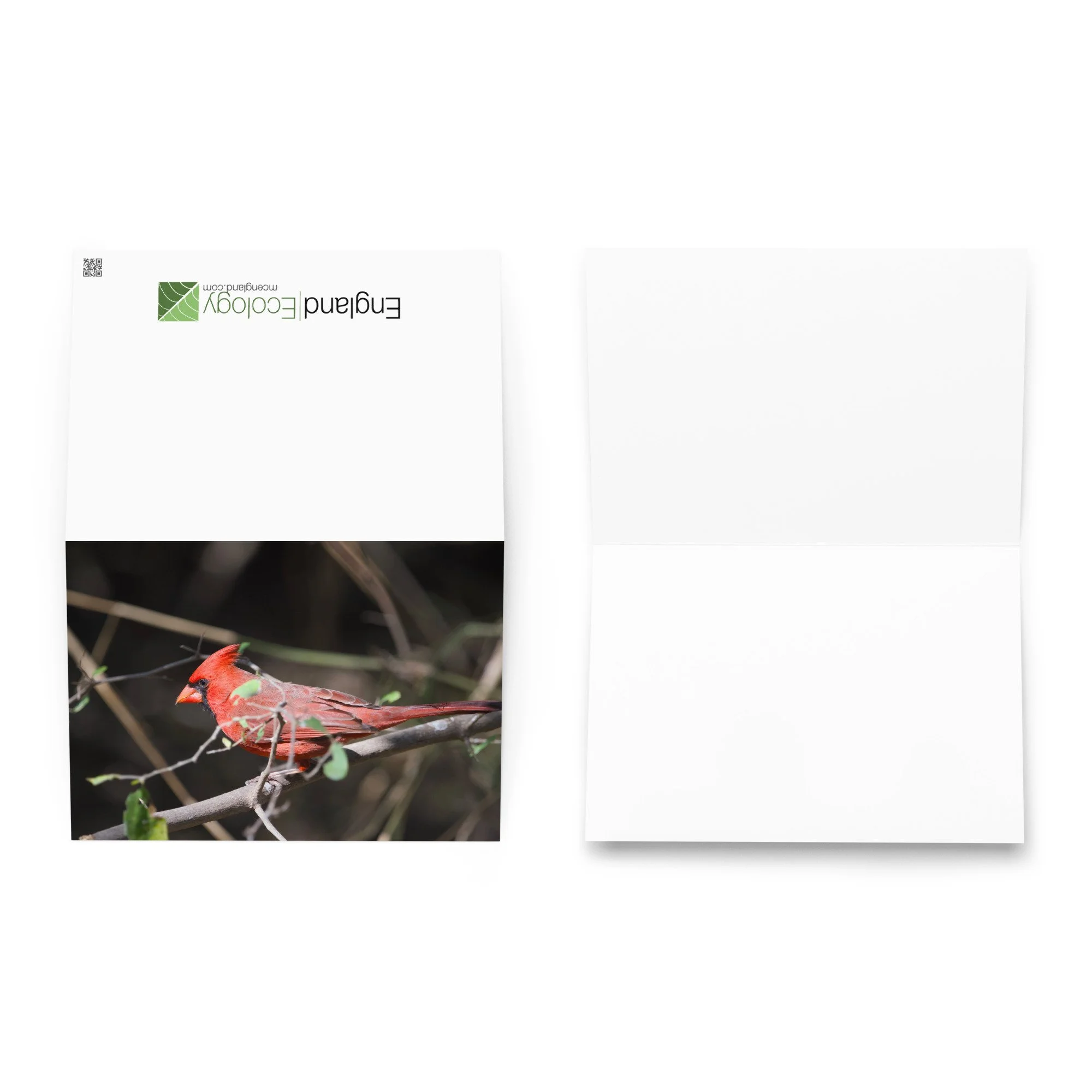 greeting-card-5.83x8.27-front-6ada09bc42d77.jpg