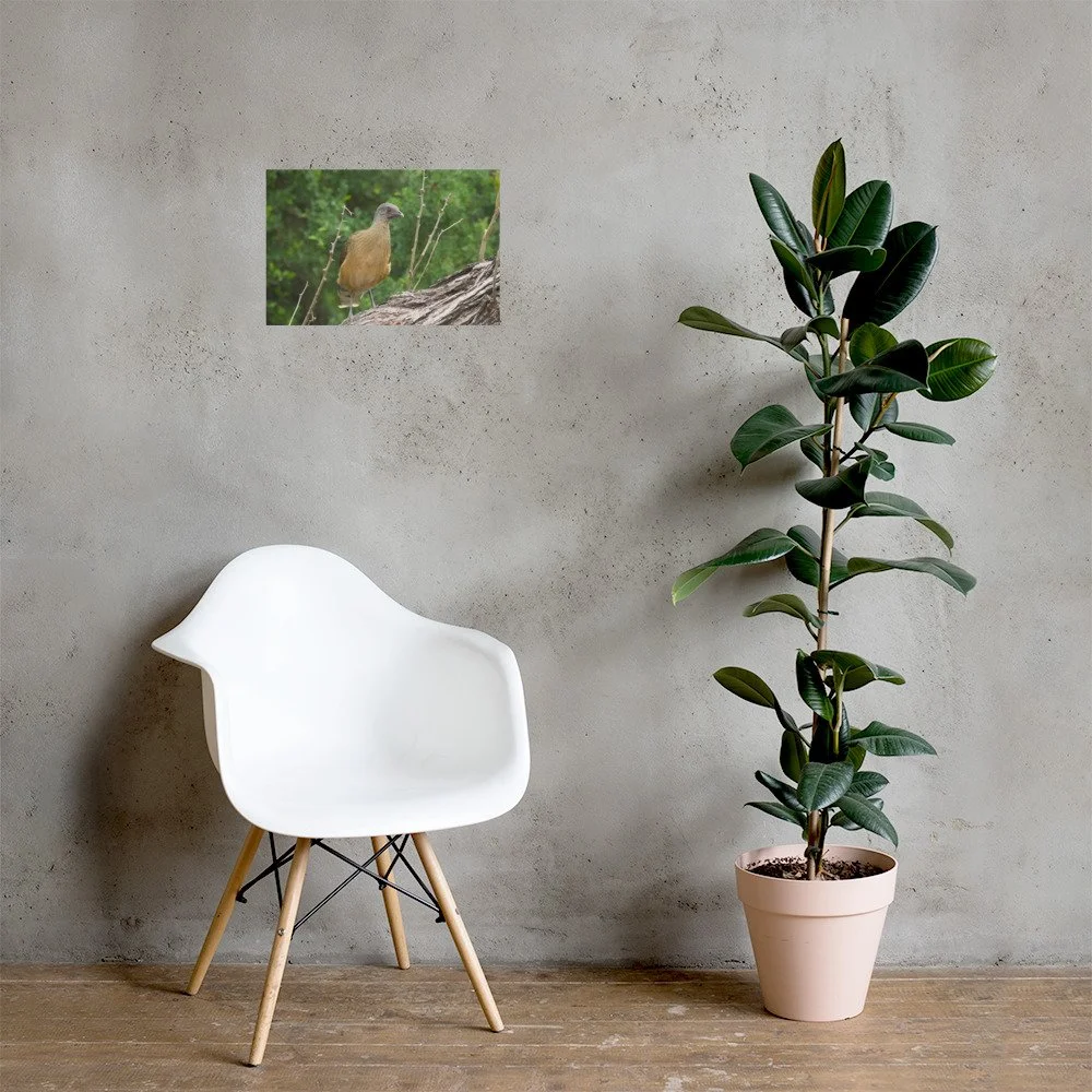 enhanced-matte-paper-poster-(in)-12x18-lifestyle-1-6adb694b681a5.jpg