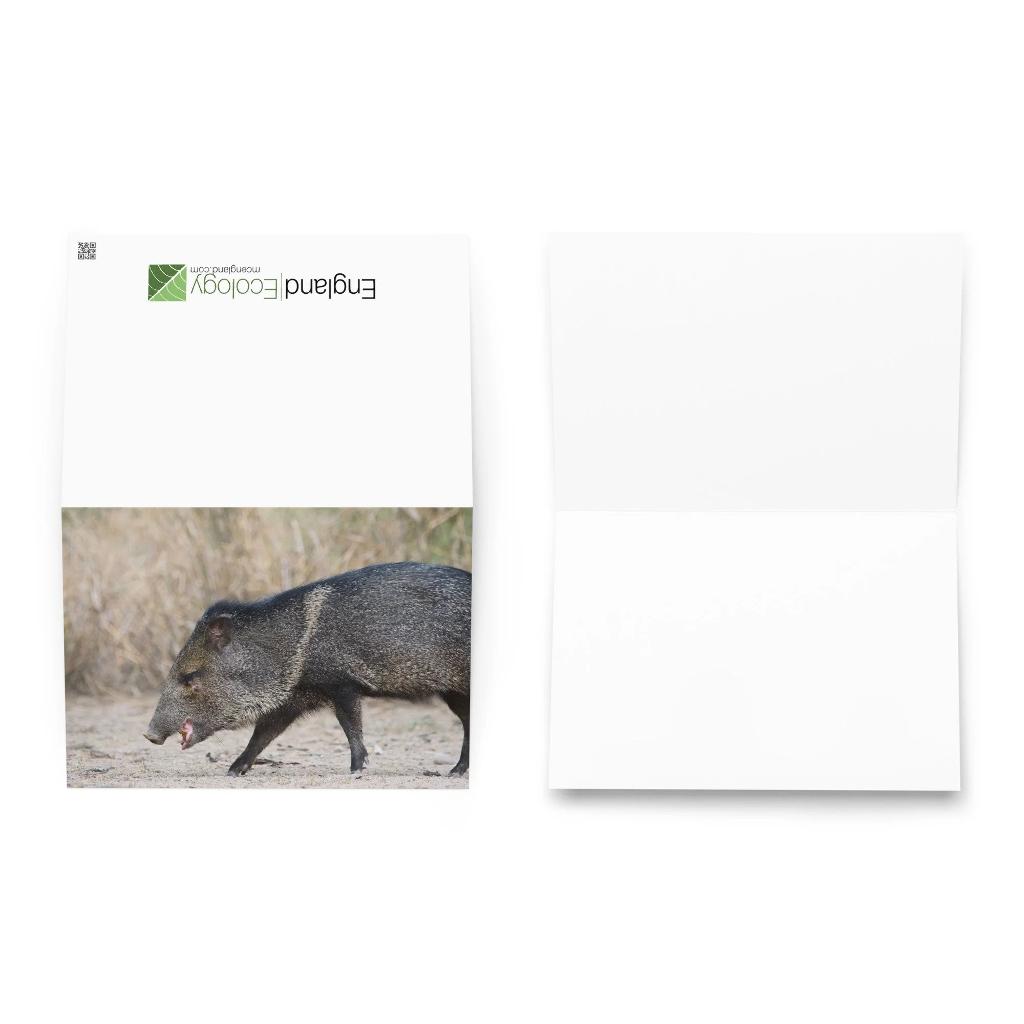 greeting-card-5.83x8.27-front-6ade05eb01da1.jpg