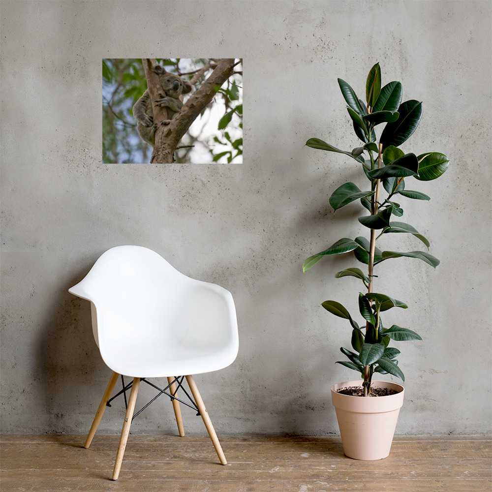 premium-luster-photo-paper-poster-(in)-18x24-lifestyle-1-69dfe080b0374.png