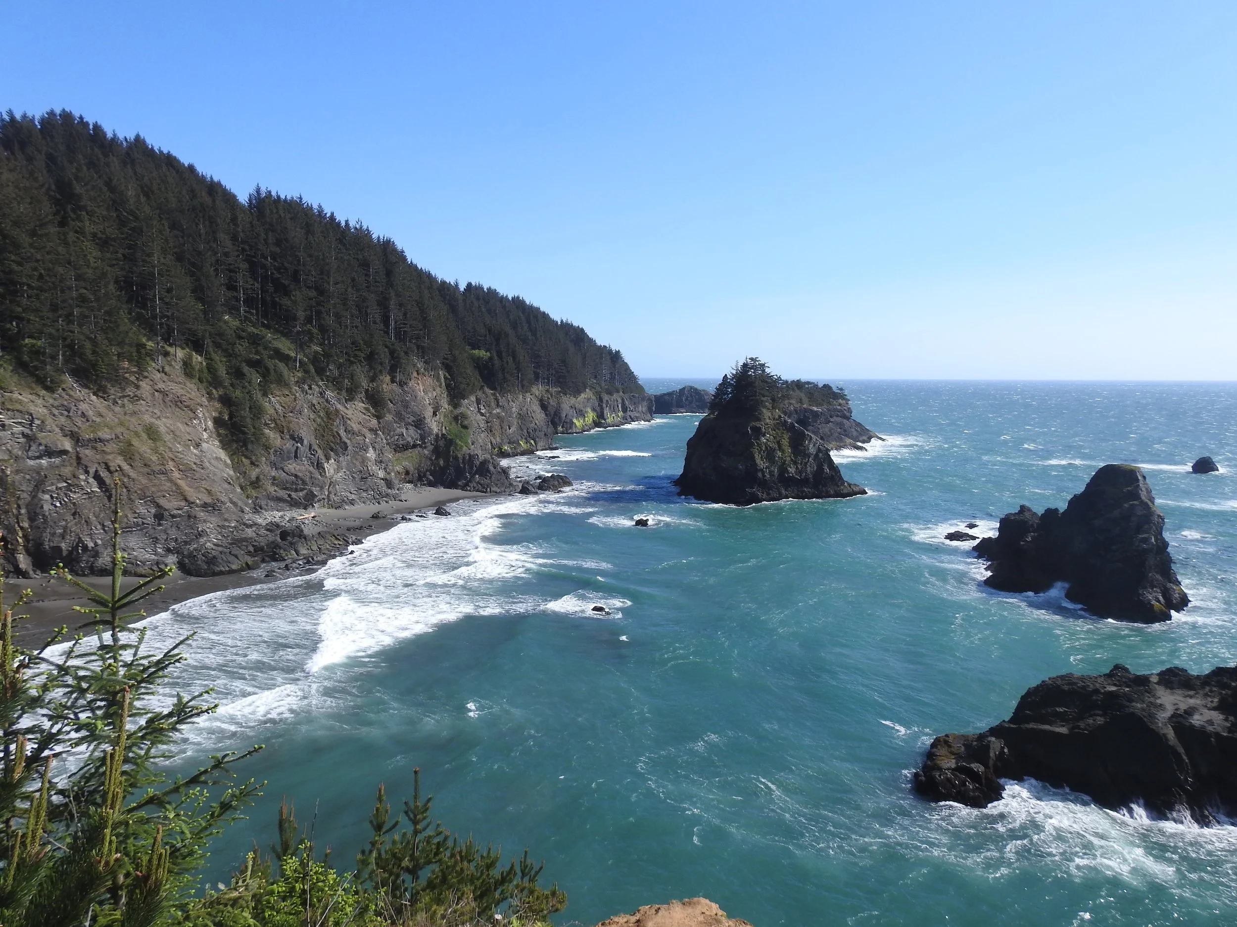 Harris Beach Management Unit Wildlife Assessment