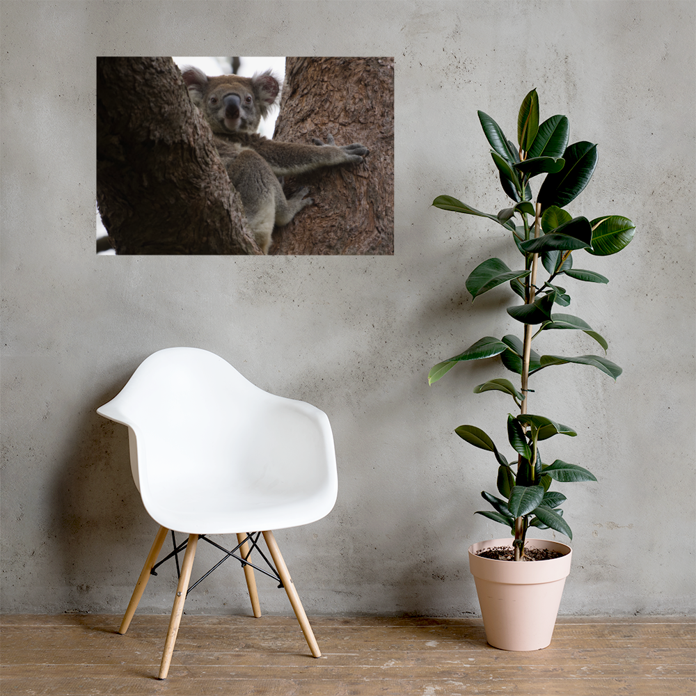 premium-luster-photo-paper-poster-(in)-24x36-lifestyle-1-69e14dc6953ee.png
