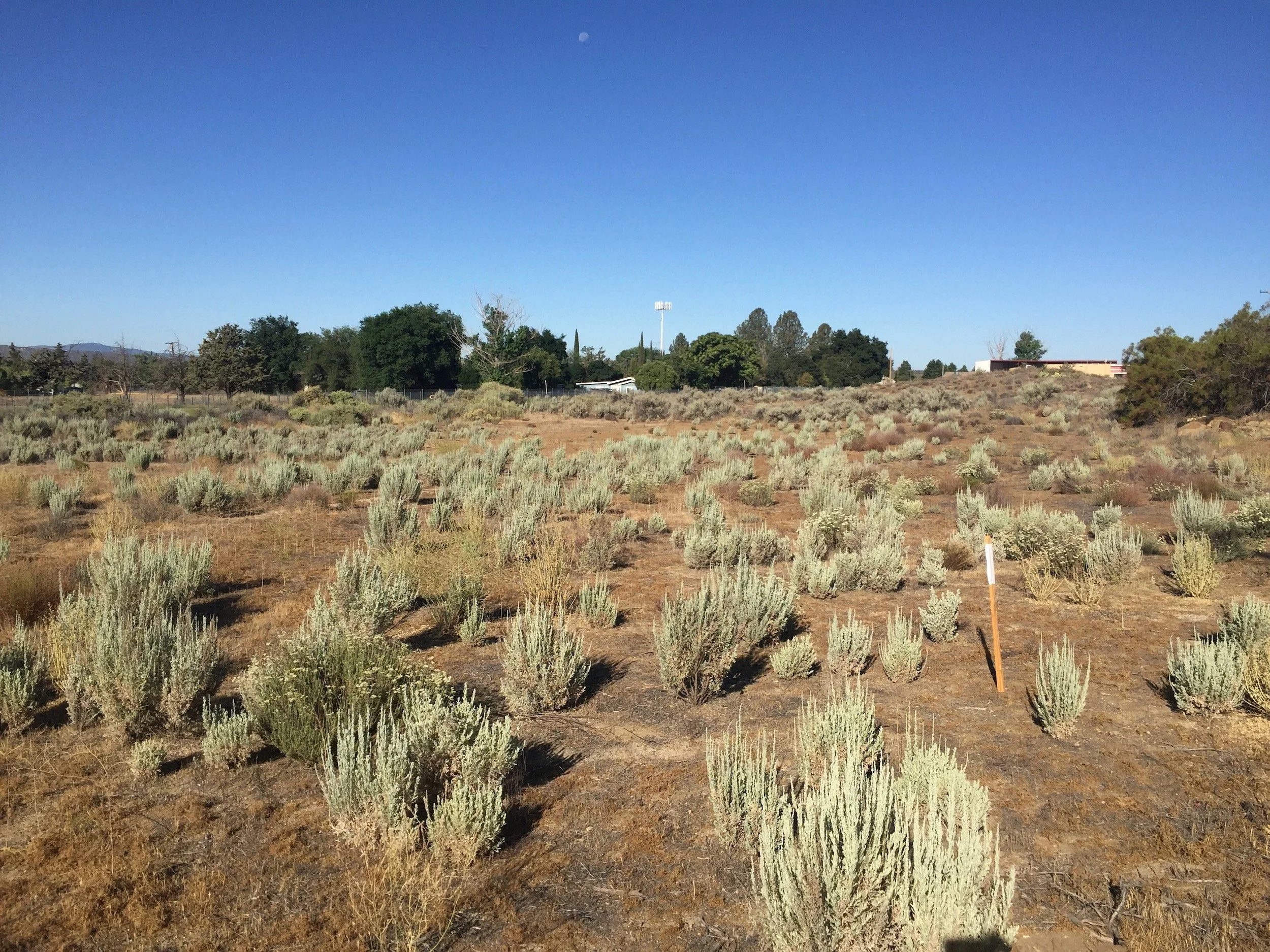 Anza Mutual Water Company Technical Assistance Work Plan 5022