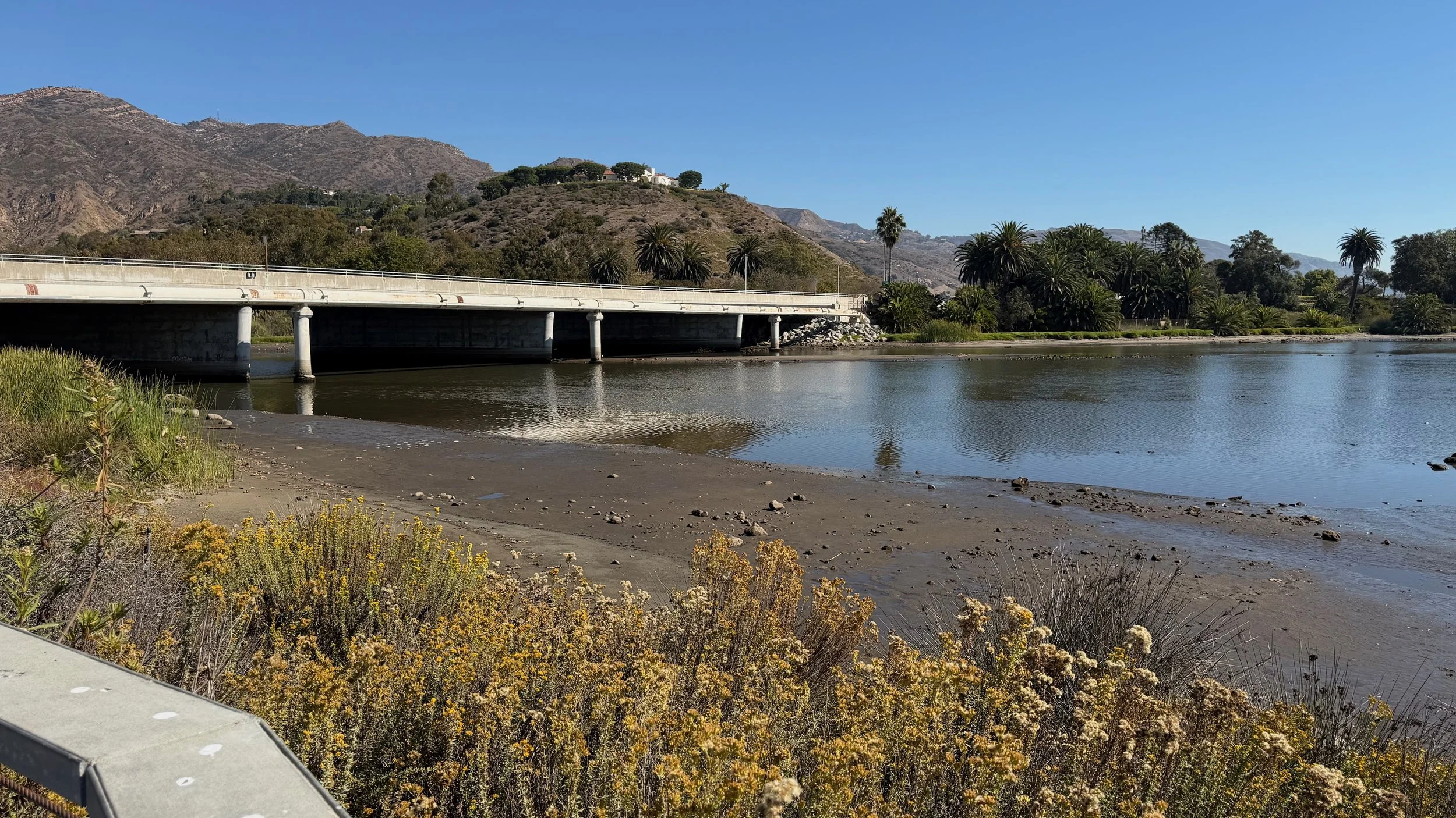 City of Malibu Biological Assessments