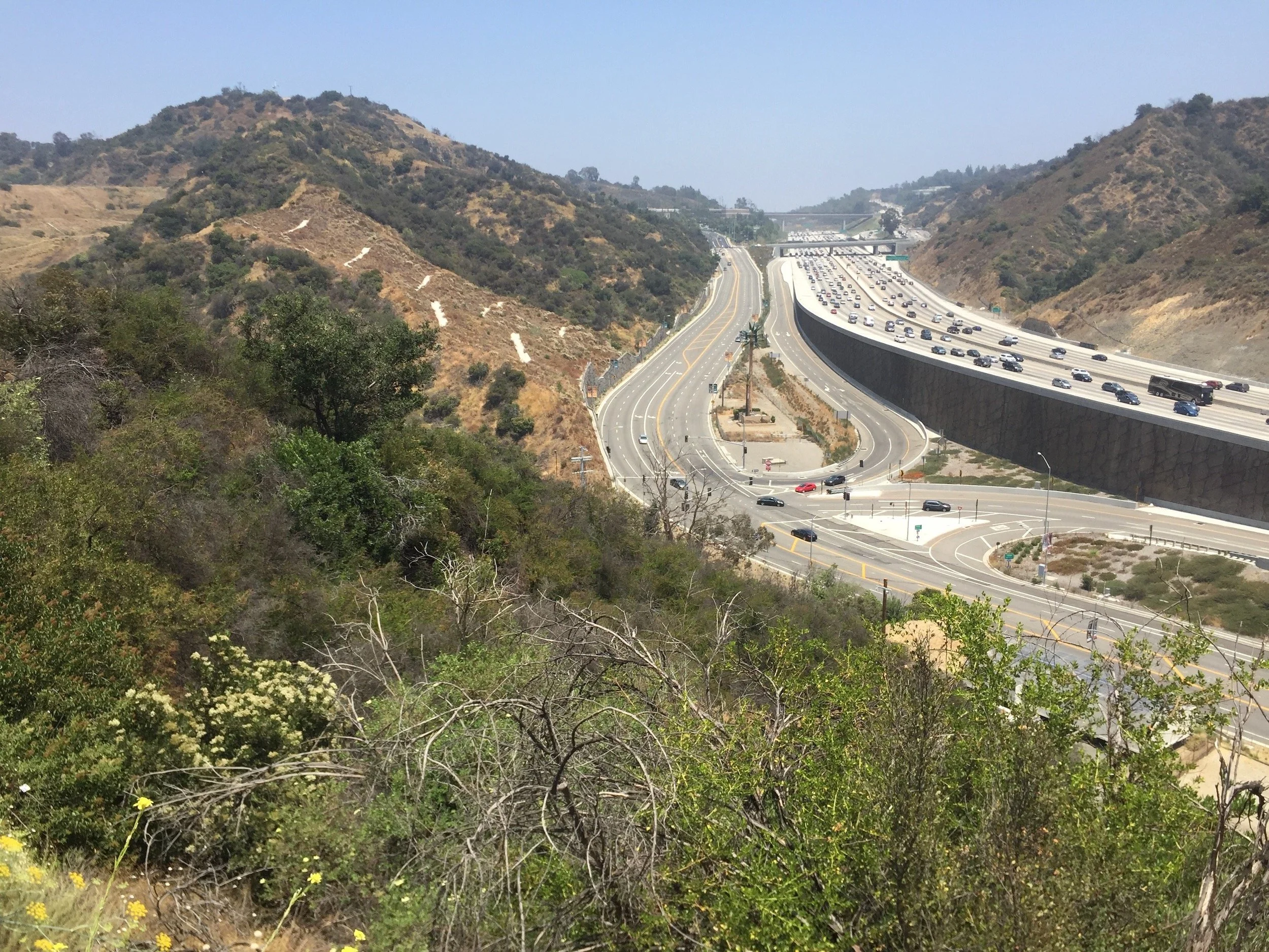 Mission Canyon Park Biological Resources Assessment