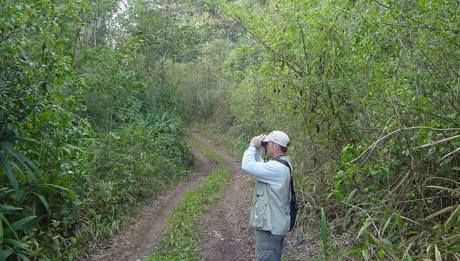 April 2003: Surveying for Birds in the Chiquibul National Forest, Cayo District, Belize.