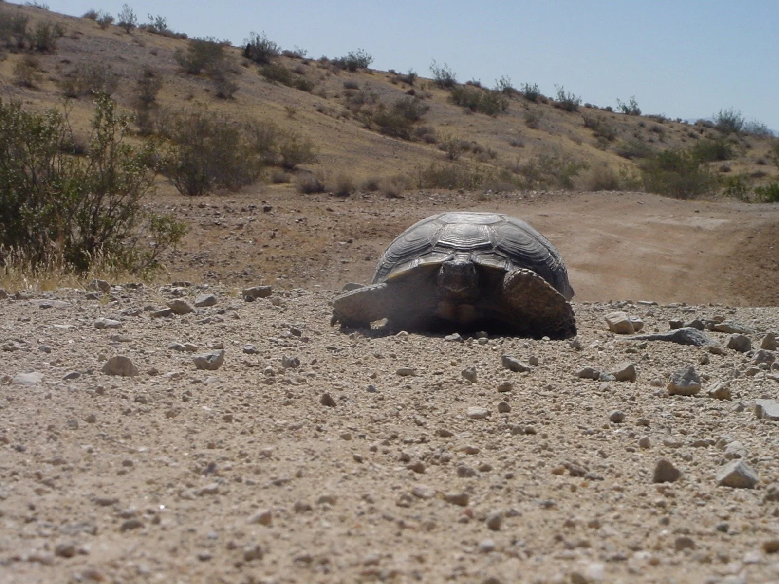 Habitat Conservation Plans