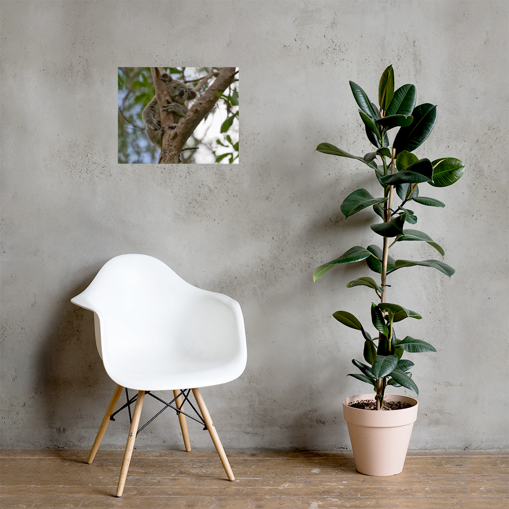 premium-luster-photo-paper-poster-(in)-16x20-lifestyle-1-69dfe080b00d3.png