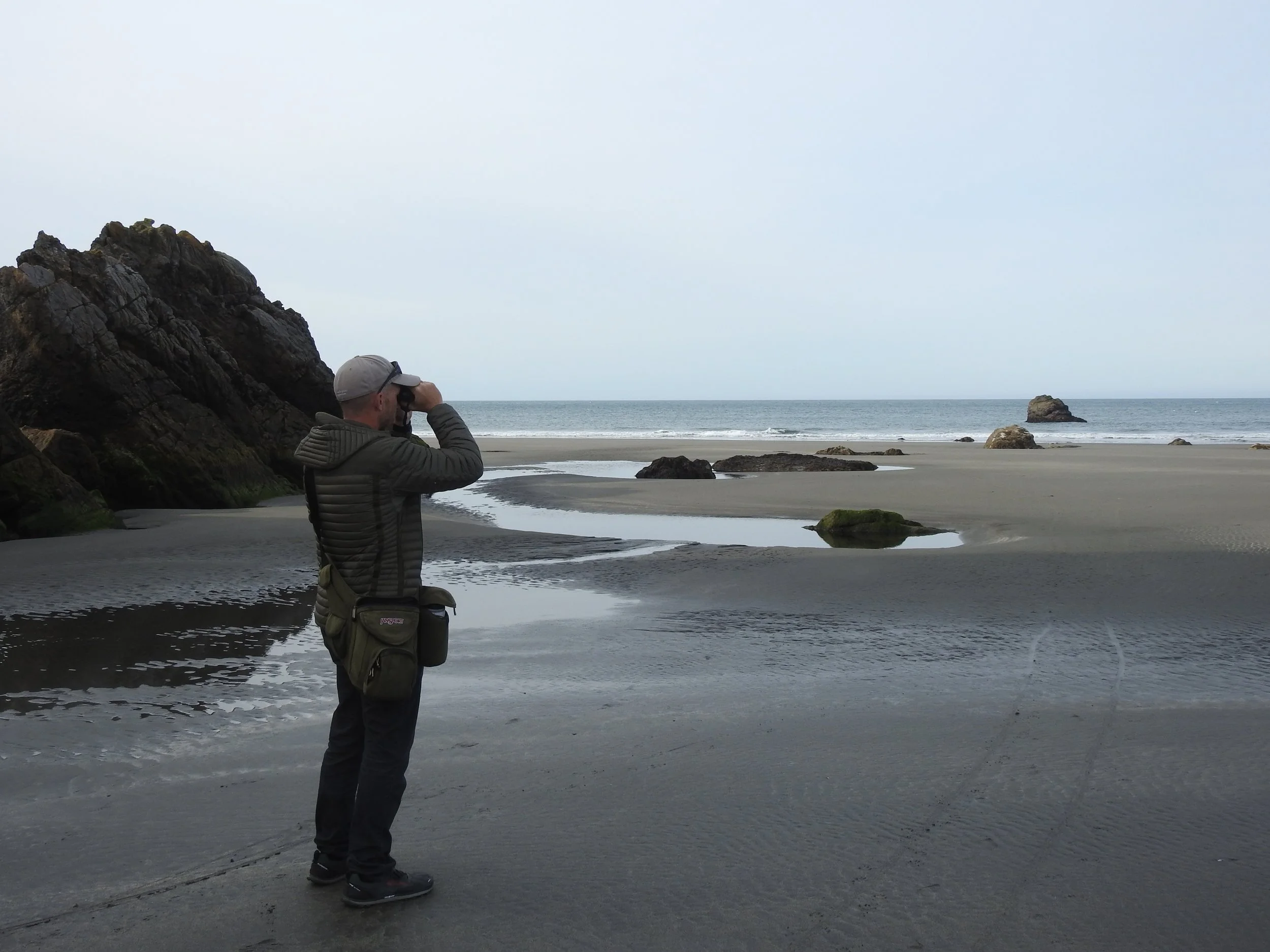 May 2018: Surveys at Harris Beach State Park as part of the creation of a wildlife management plan for Oregon Parks.