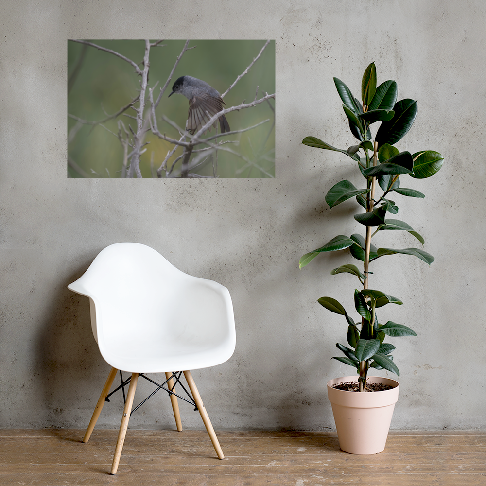 premium-luster-photo-paper-poster-(in)-24x36-lifestyle-1-69e152827c4e5.png