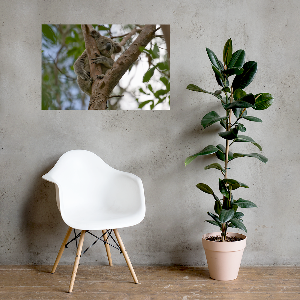 premium-luster-photo-paper-poster-(in)-24x36-lifestyle-1-69dfe080b06ce.png