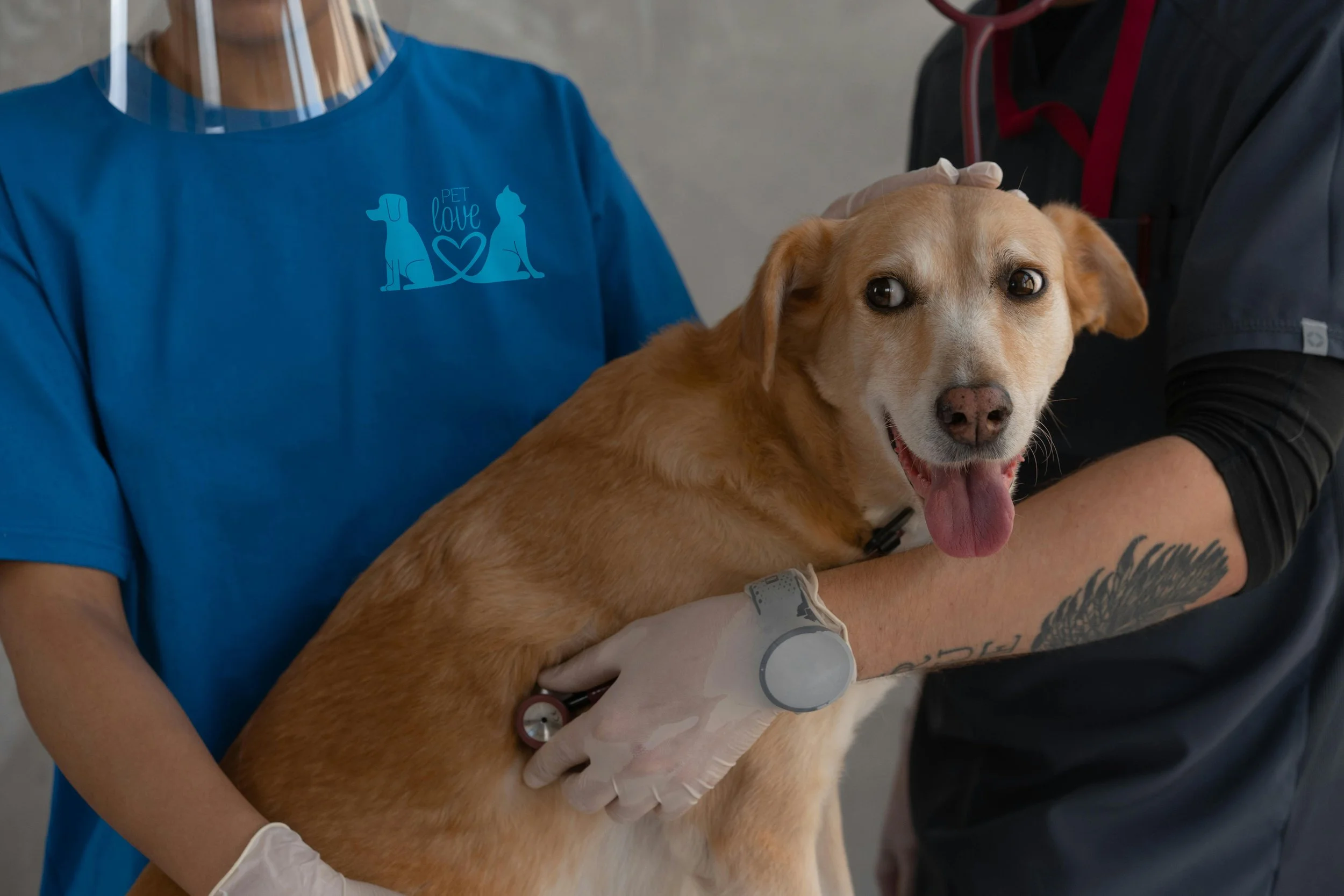 Pet Love Shirt Vet.jpg