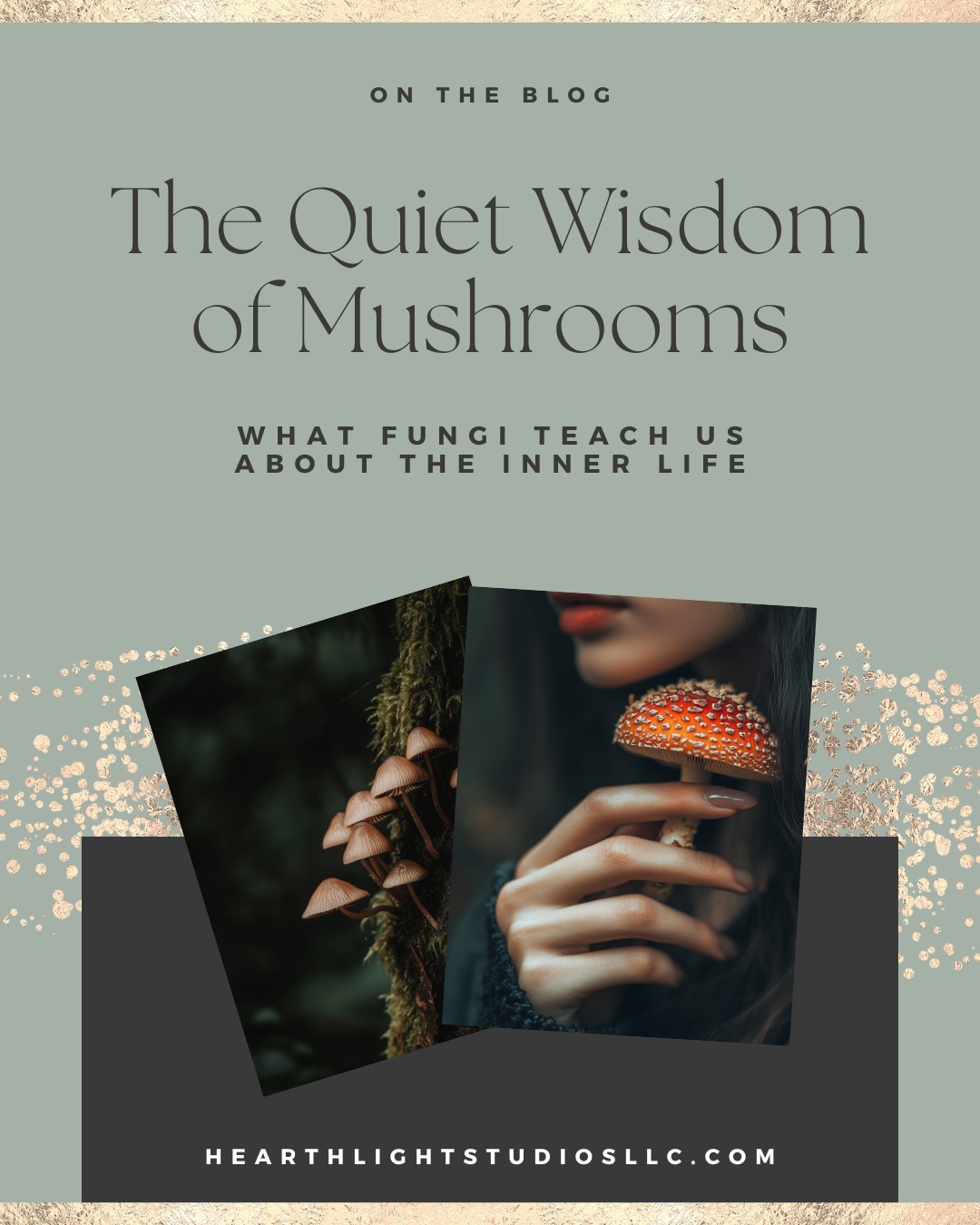 The Quiet Wisdom of Mushrooms blog article exploring mushroom symbolism, mental health, personal growth, emotional healing, resilience, mindfulness, self-reflection, and the connection between fungi and wellness.