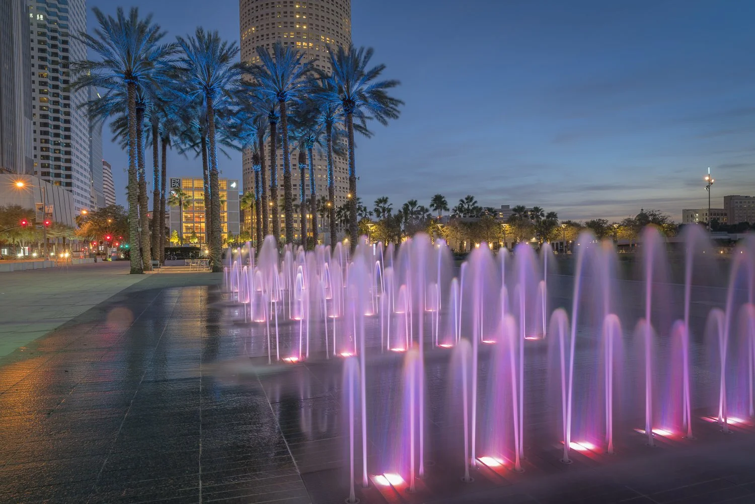Dusk cityscape featuring illuminated pink water fountains, tall palm trees with blue lights, and modern skyscrapers against a twilight sky.