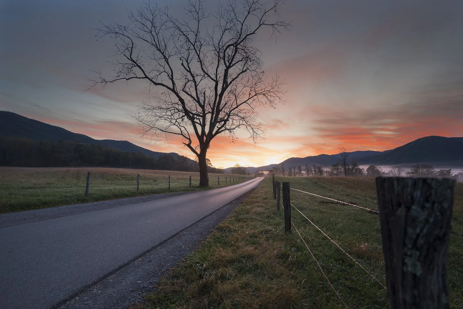 A rural road at sunrise with a leafless tree alongside, surrounded by fields and mountains in the background.
