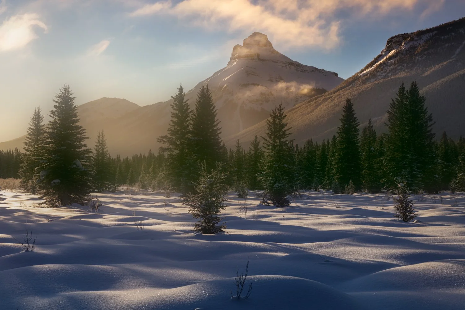 658A3181-frosty warmth1500.jpg